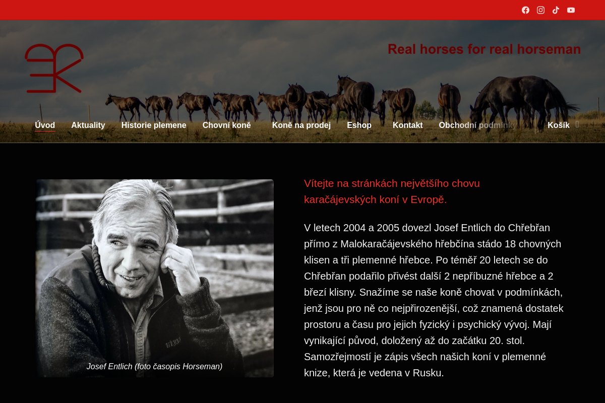 Karačájevský kůň