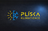 logo Vlastimil Plíska