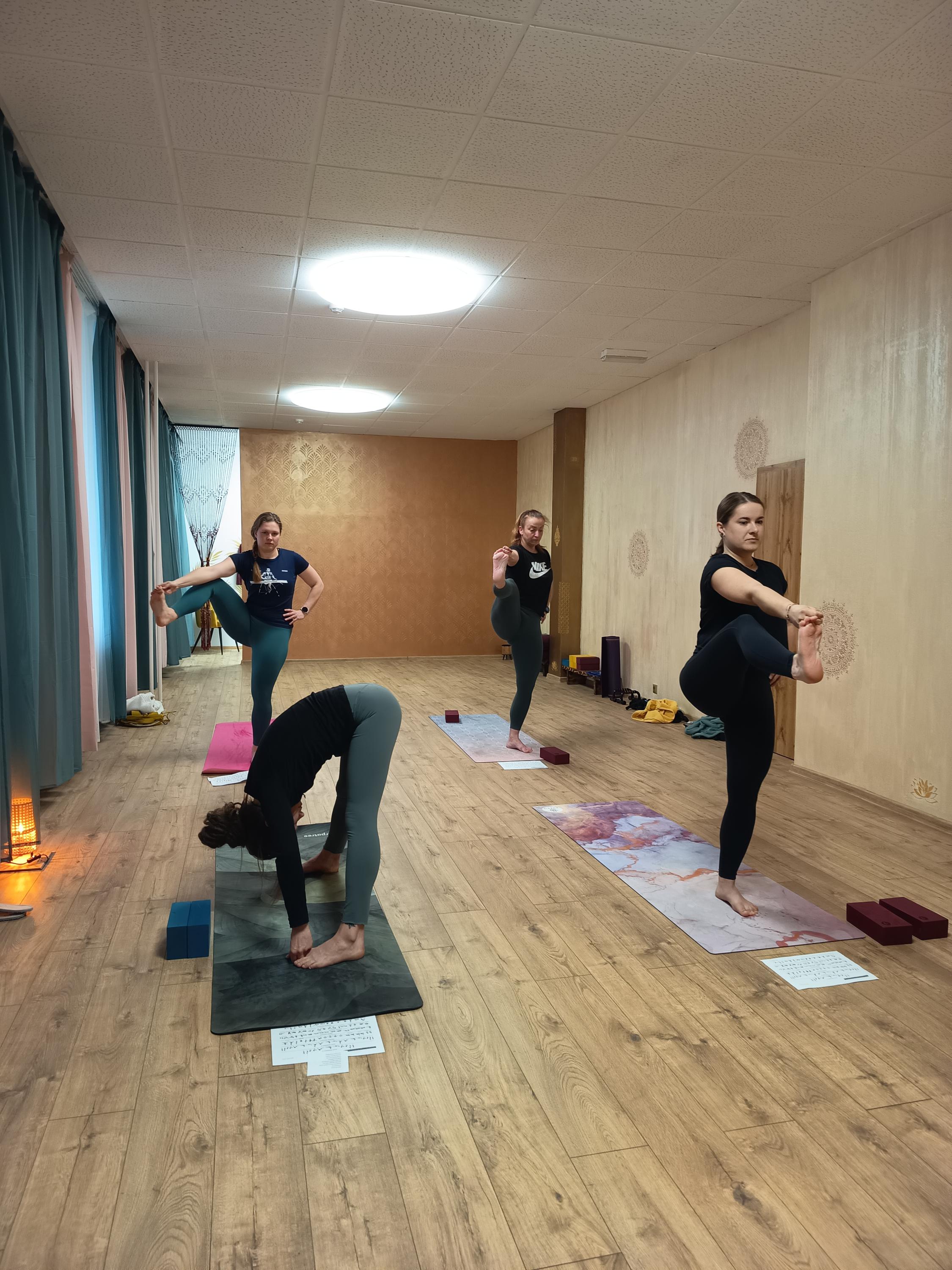 Shankara Yoga Shala foto 6
