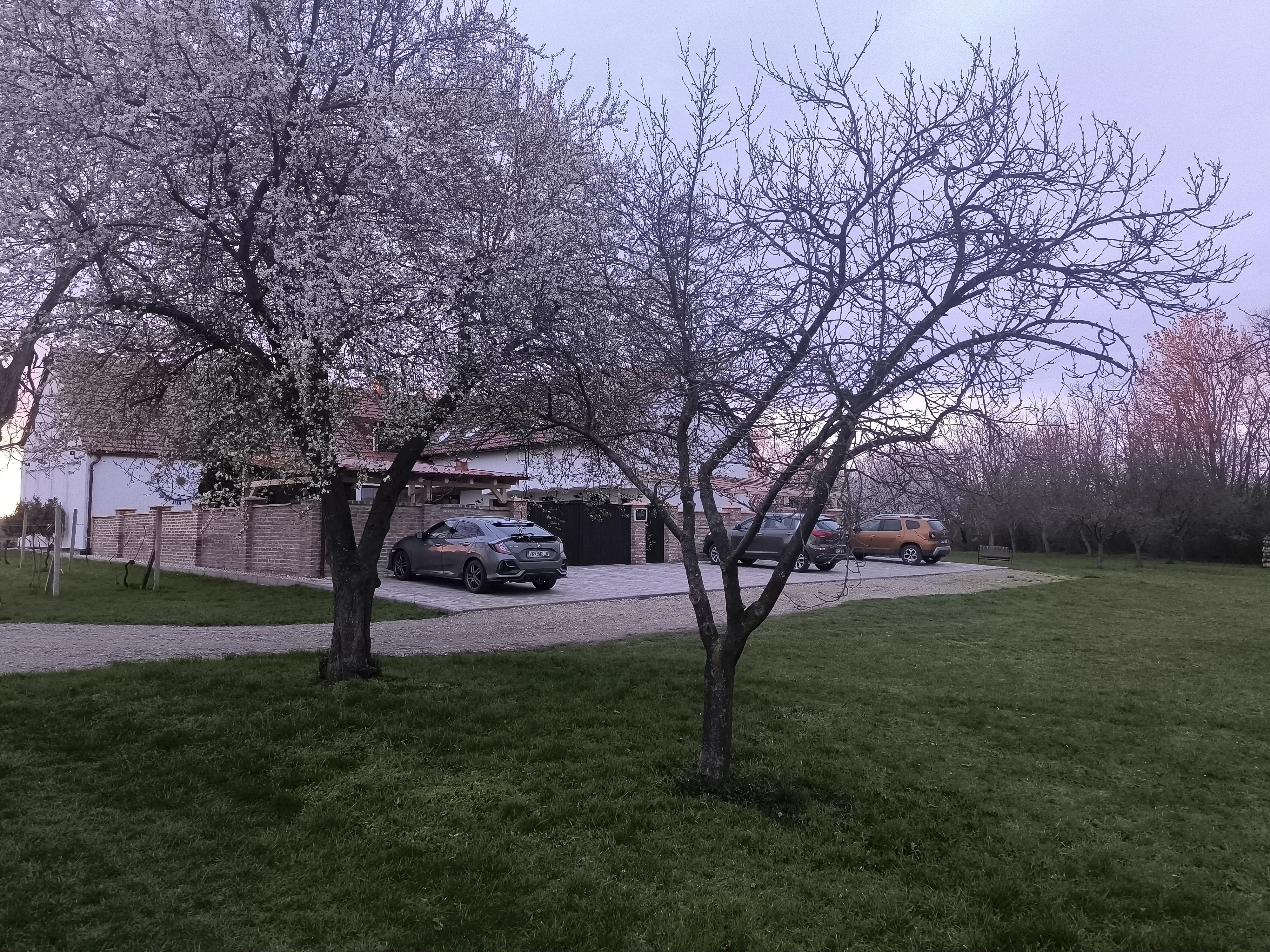 V Zahradě foto 5
