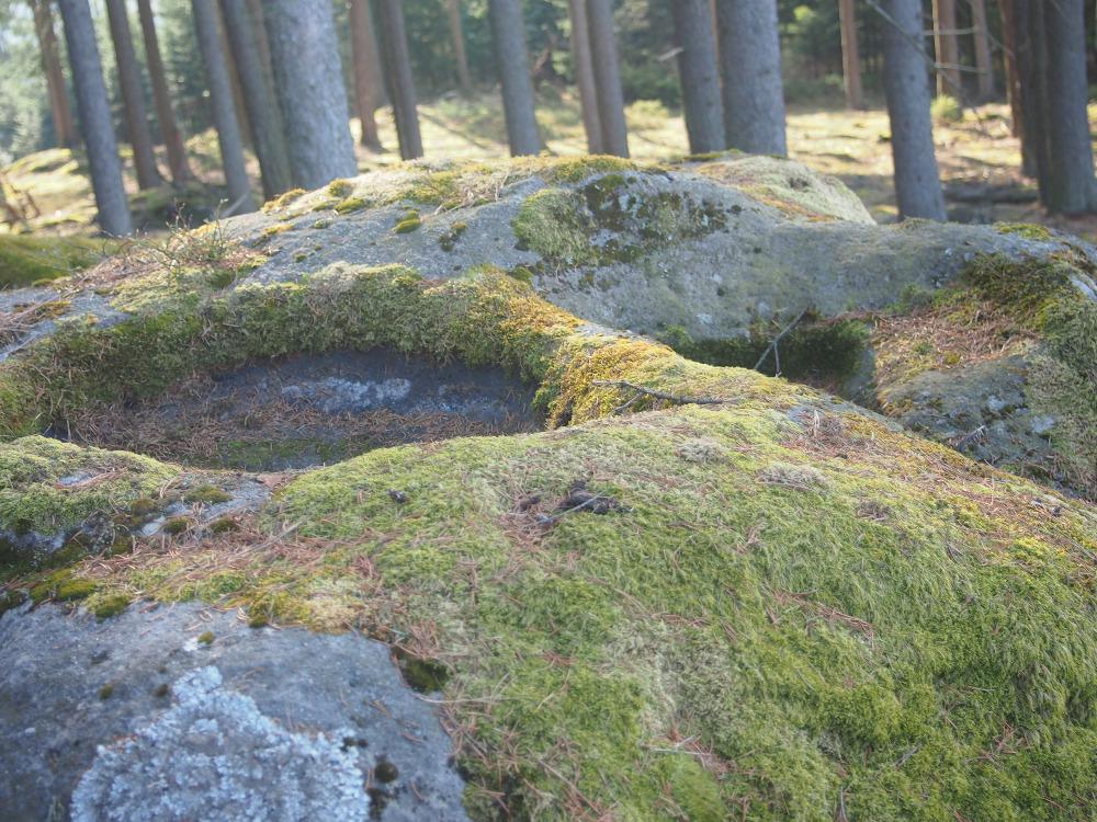 Motorest Na Výšince foto 4