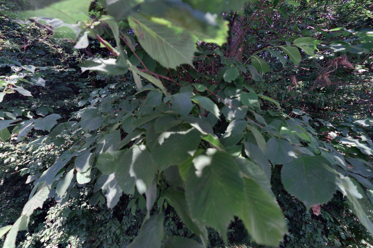 Retail park Vamberk foto 4