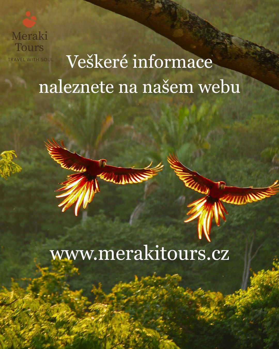 Meraki Tours, s.r.o. foto 2