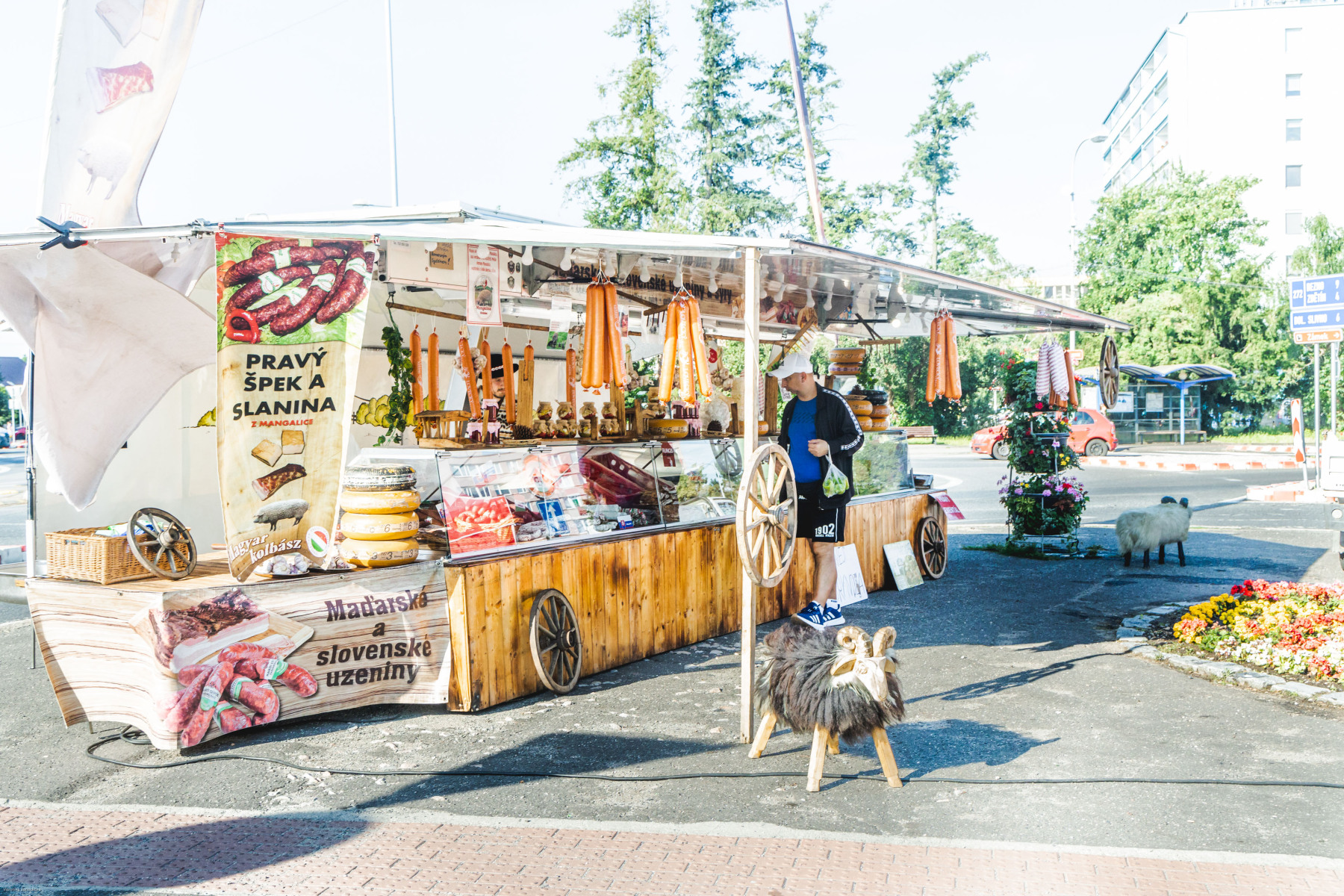 Pojizerské trhy Benátky nad Jizerou foto 3