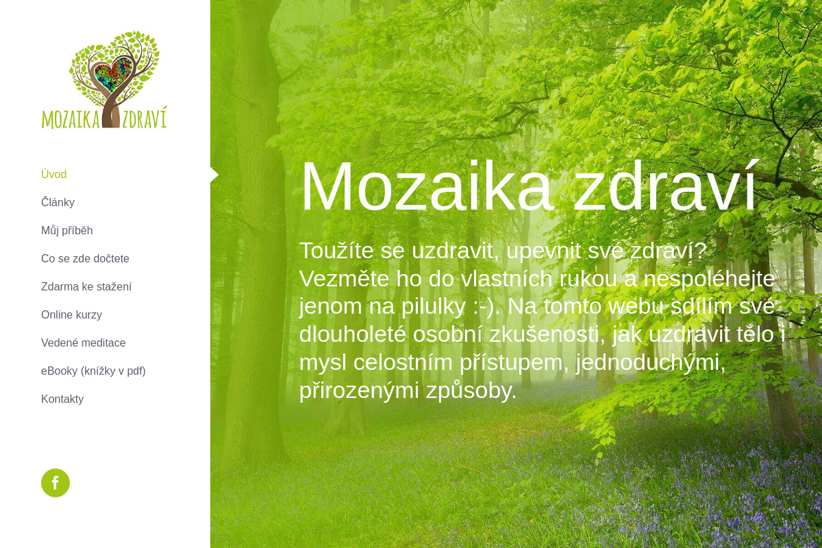Mozaikazdravi.cz