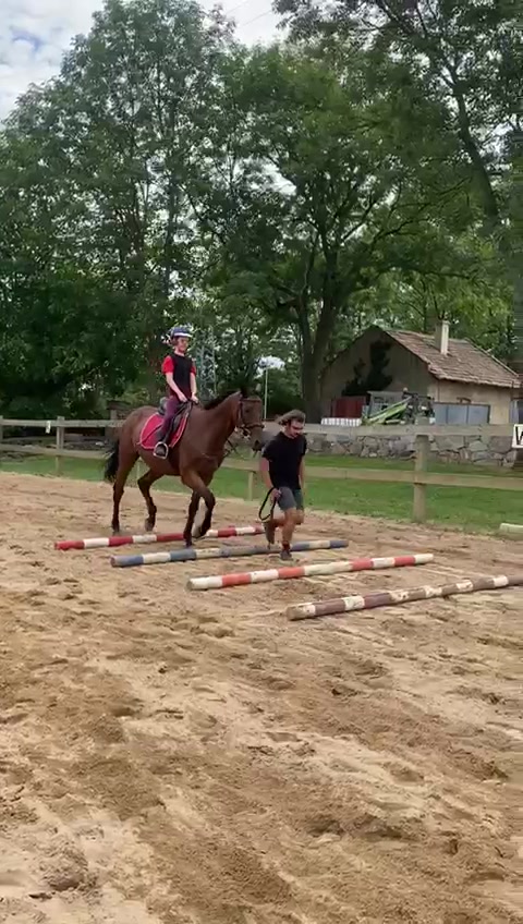 Jezdecká škola Trojanův Dvůr foto 2 (náhled videa)
