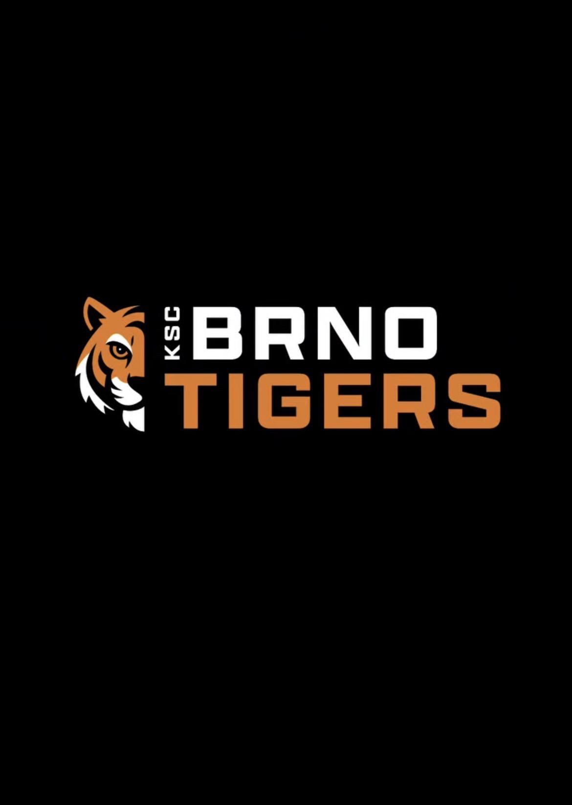 KSC Brno Tigers Cheerleaders foto 1