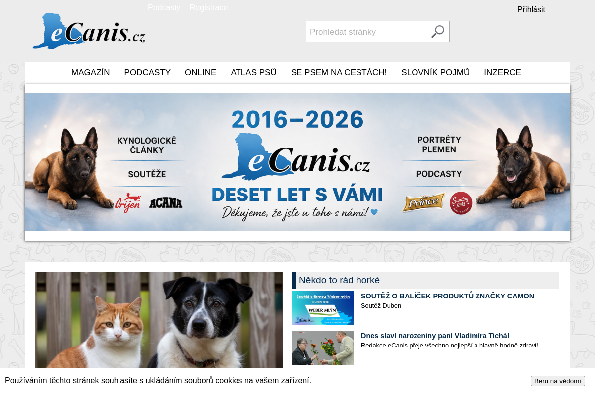 eCanis media, s.r.o.