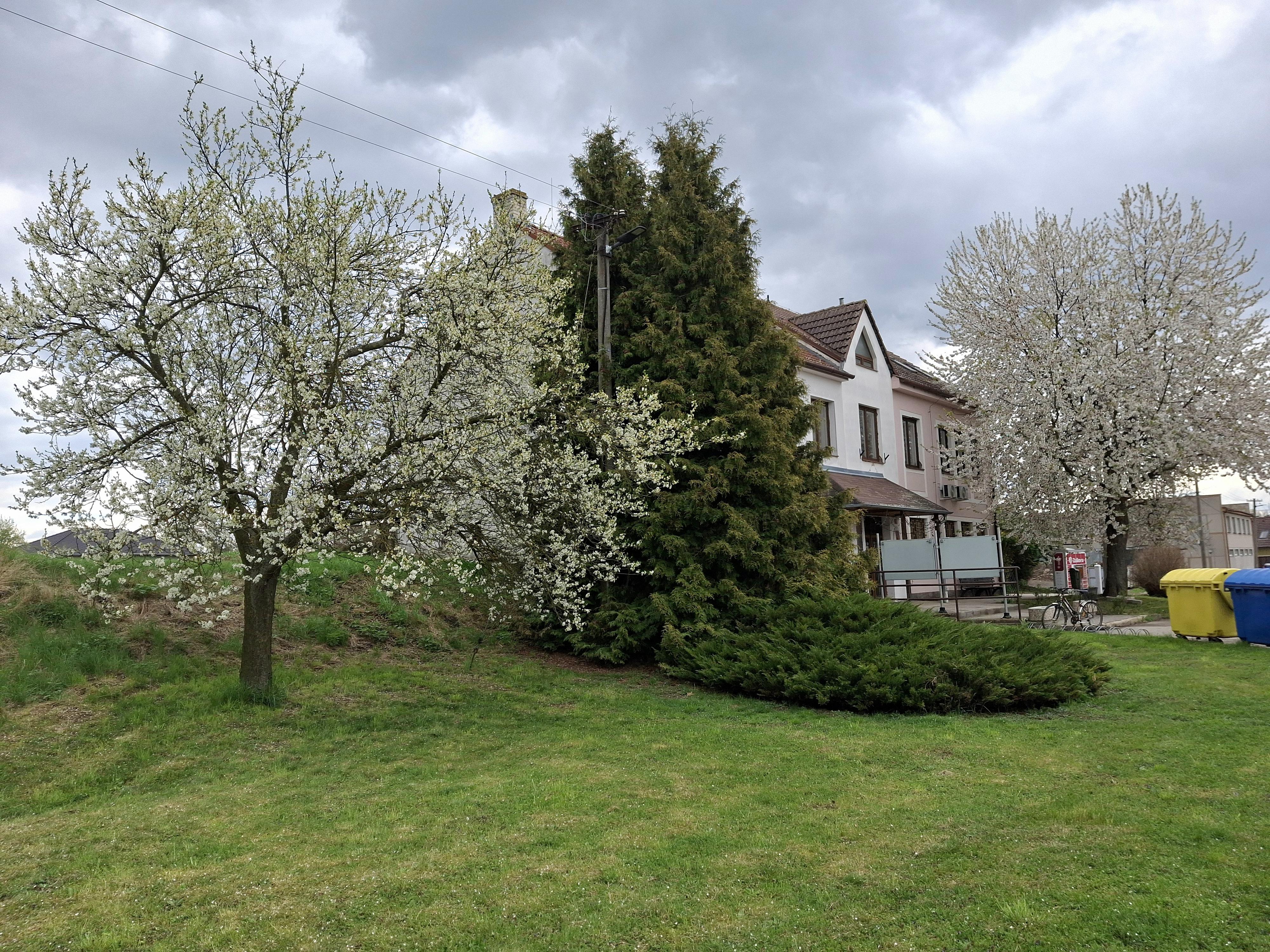 Hoštice - Heroltice - obecní úřad foto 4