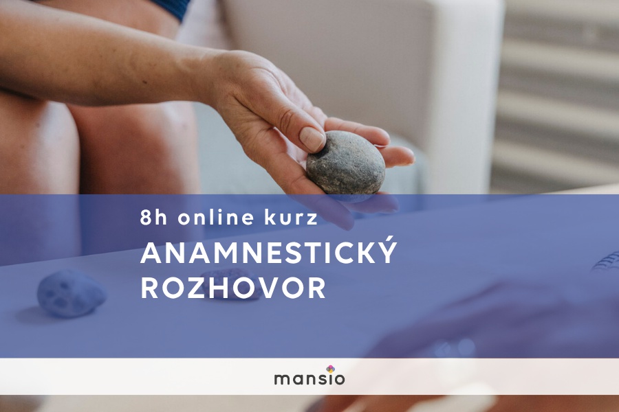Anamnestický rozhovor | online kurz pro praxi