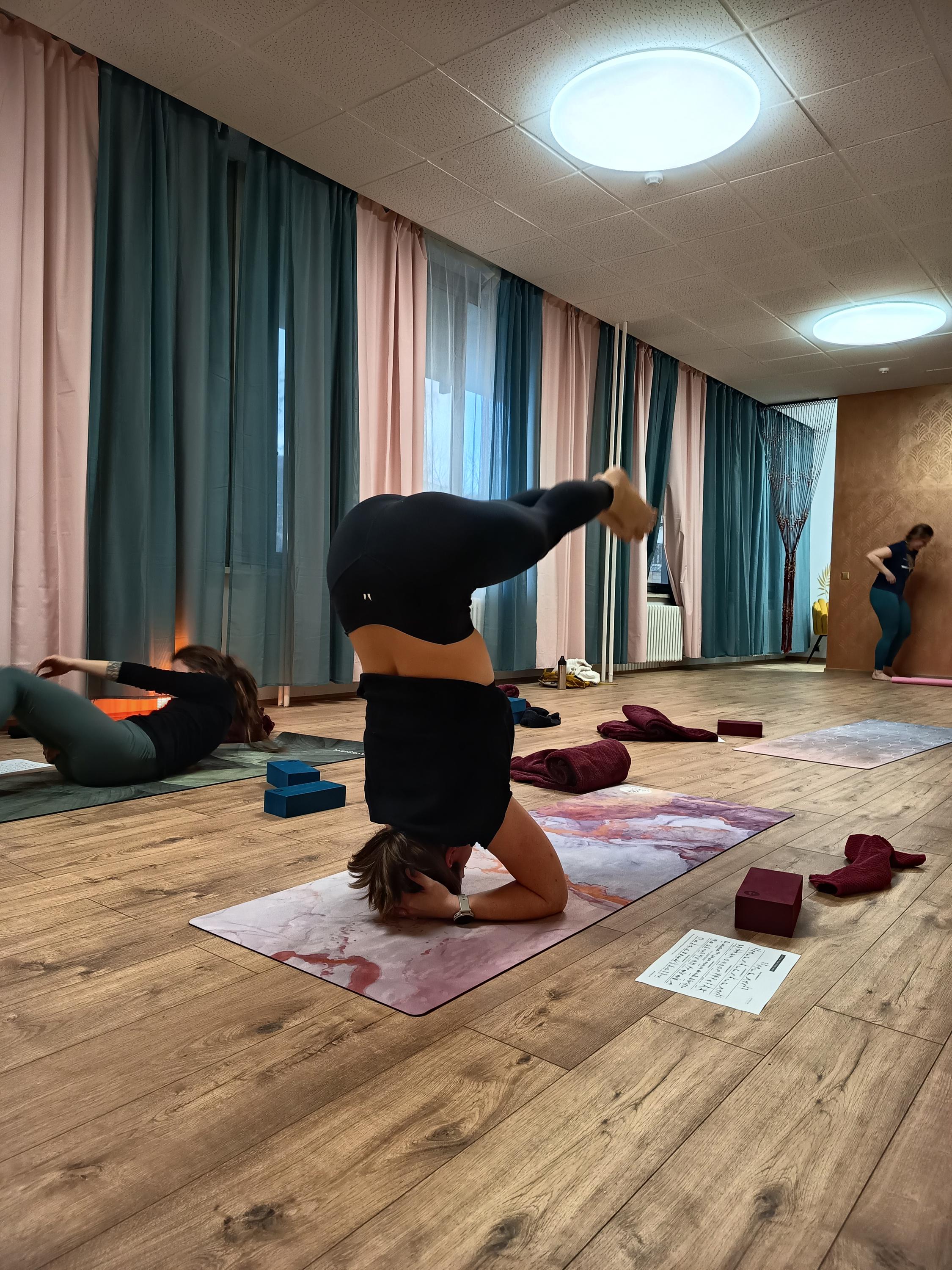 Shankara Yoga Shala foto 1