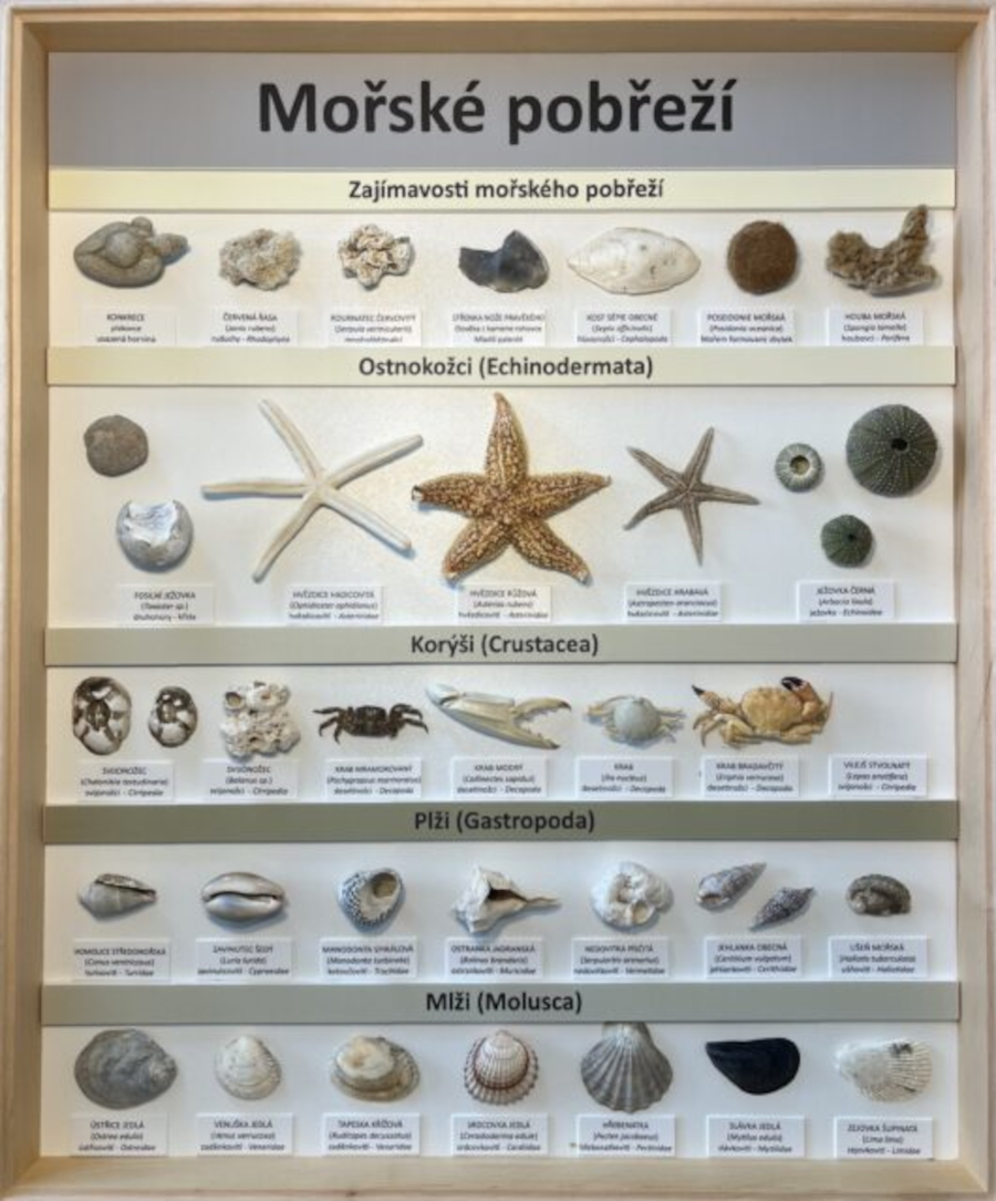 Kubacka NatureLAB s.r.o. foto 4