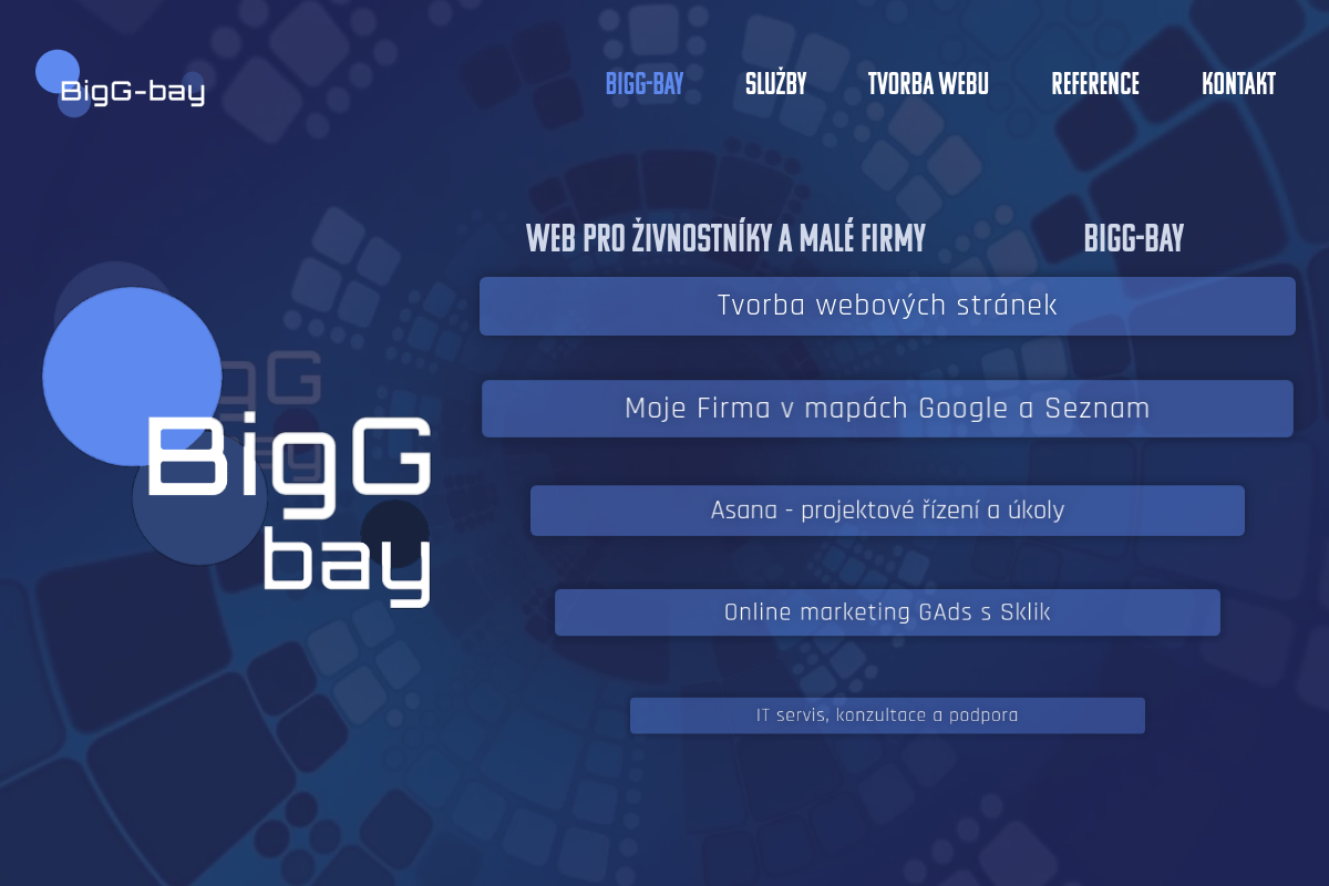 Jiří Vocílka - BigG-bay