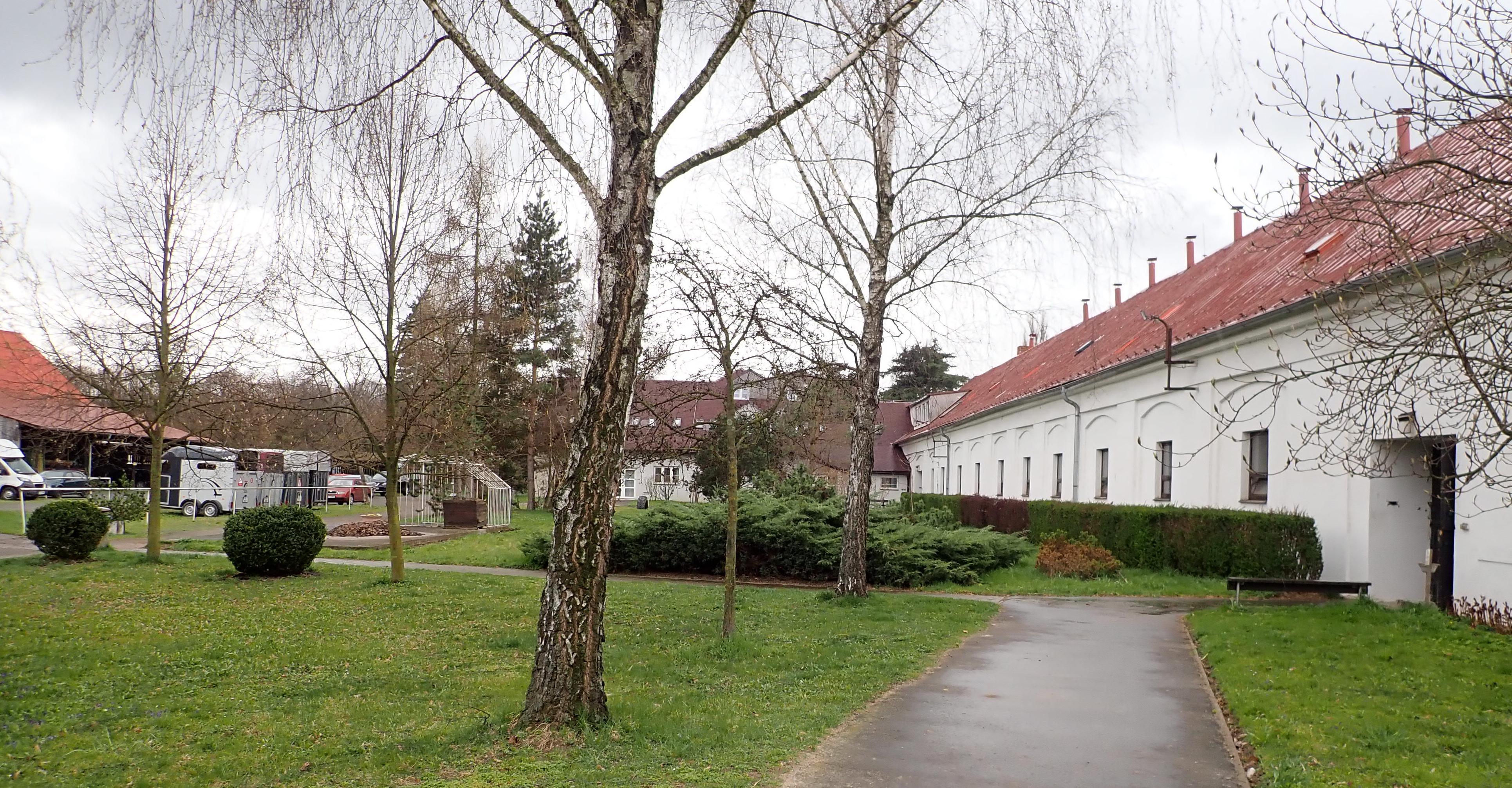Restaurace Ve Dvoře foto 1