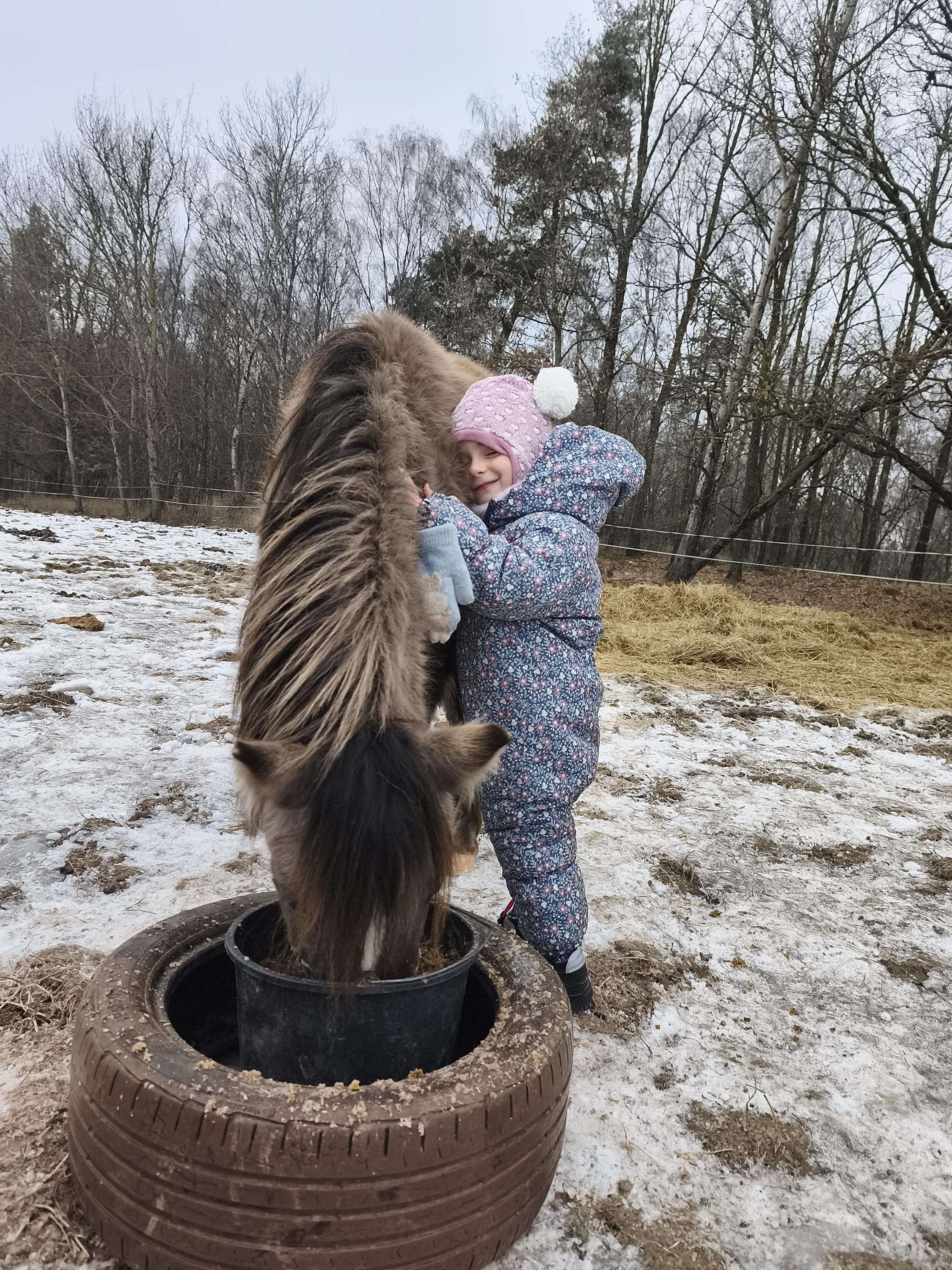 Ranč malých kovbojů foto 5