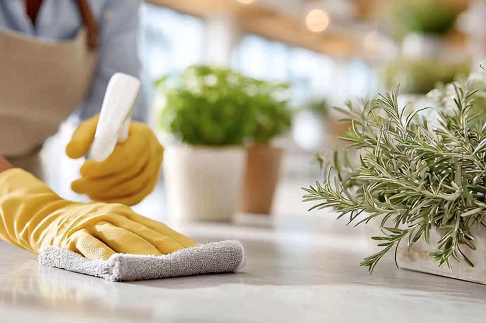 Naše úklidovka s.r.o.