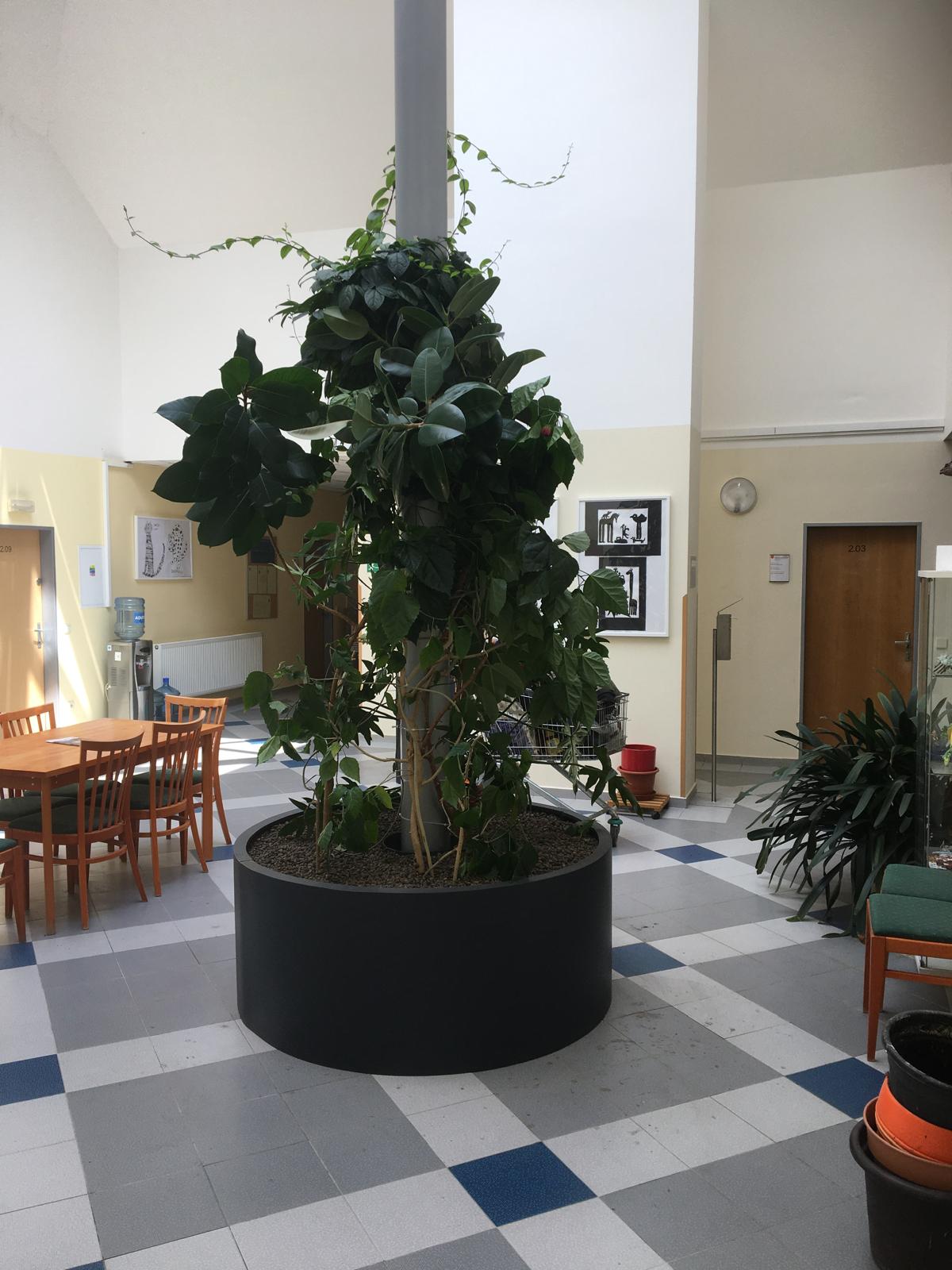 Anytime s.r.o. foto 2