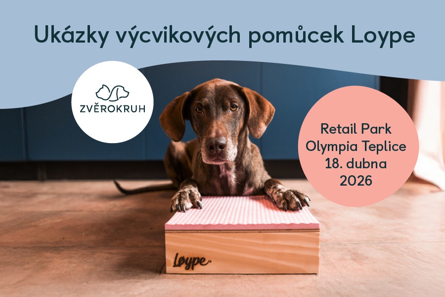 Testování výcvikových pomůcek pro psy Loype