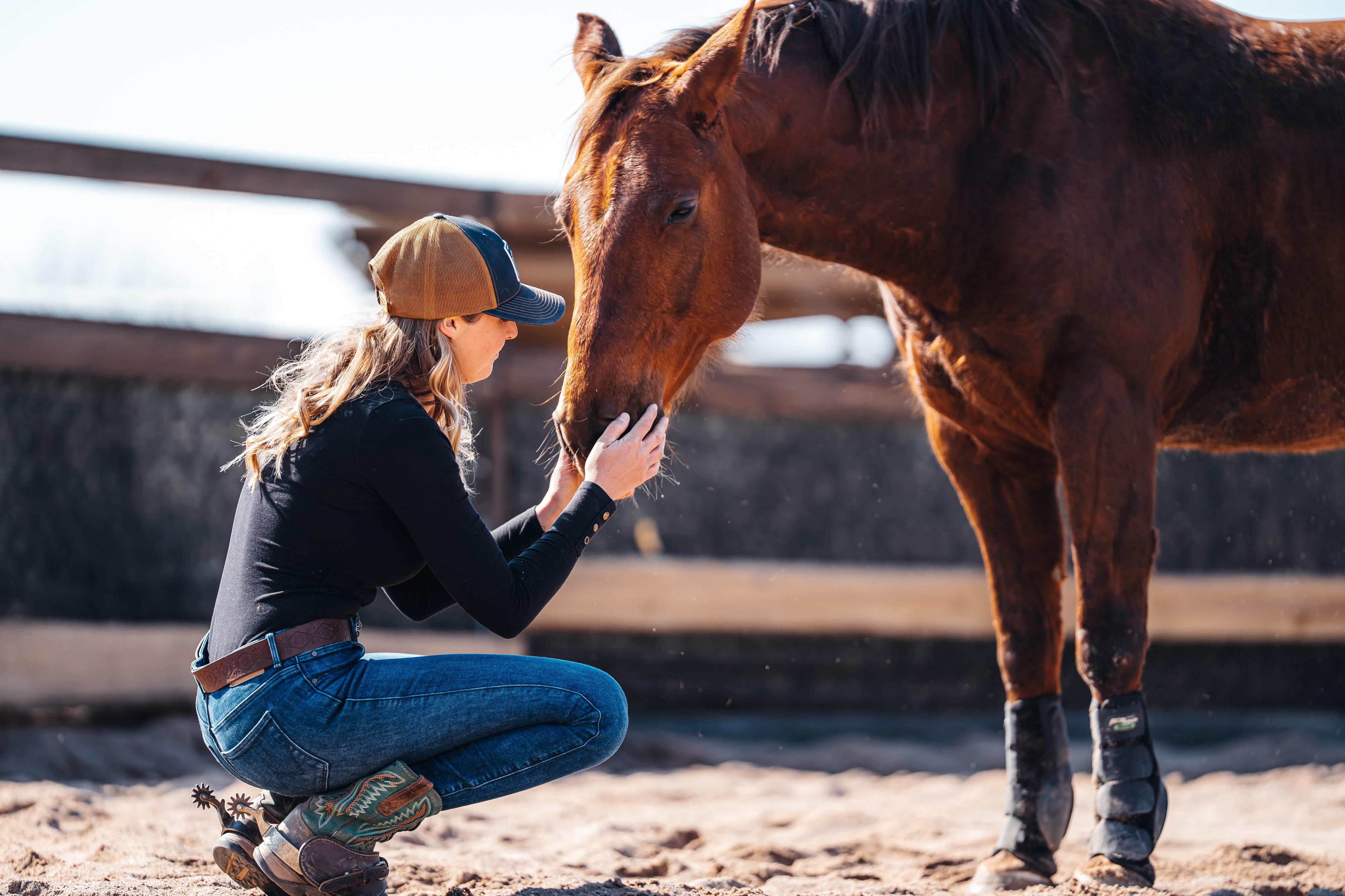 GKhorsemanship foto 5