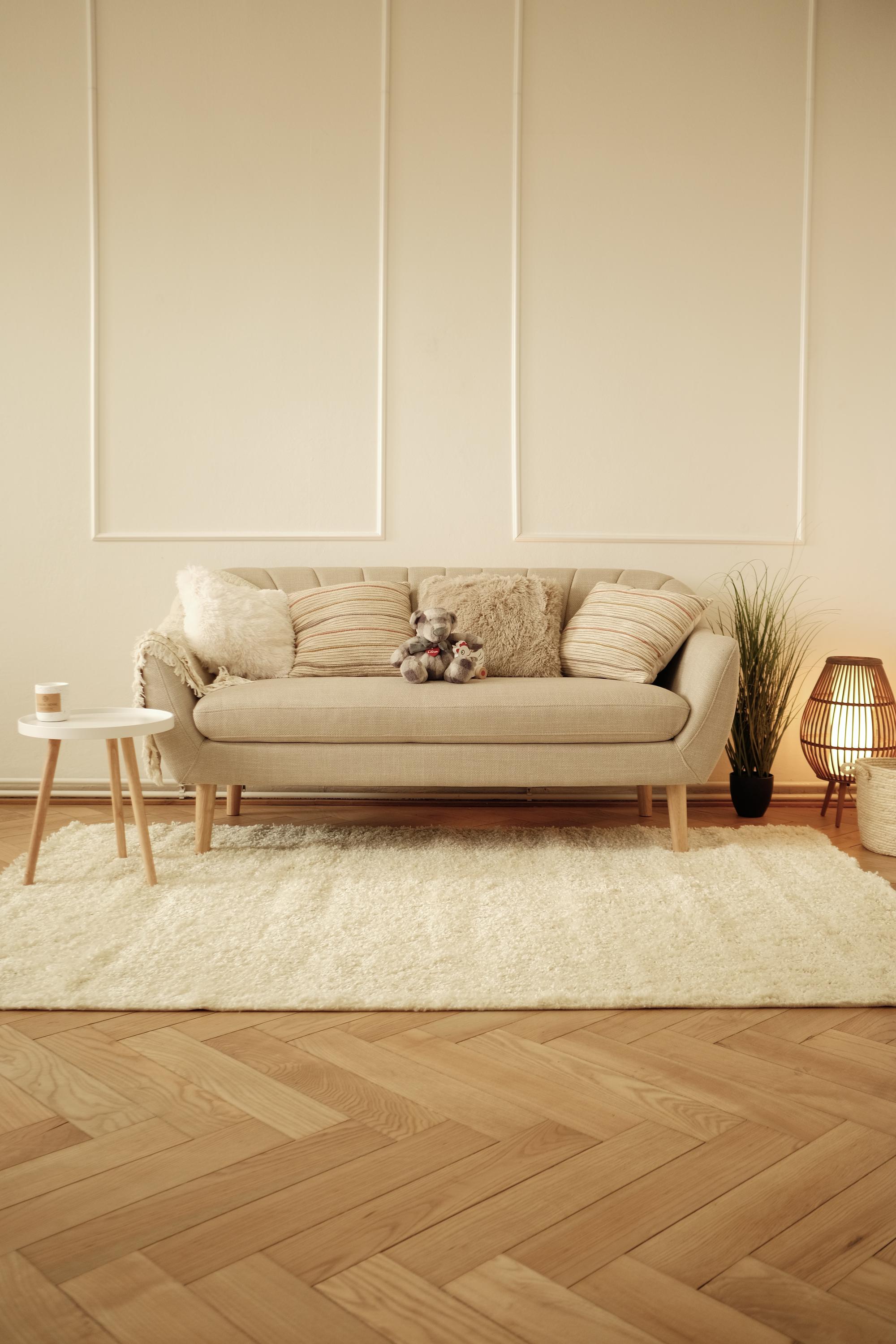 Kohoutek Creative foto 2