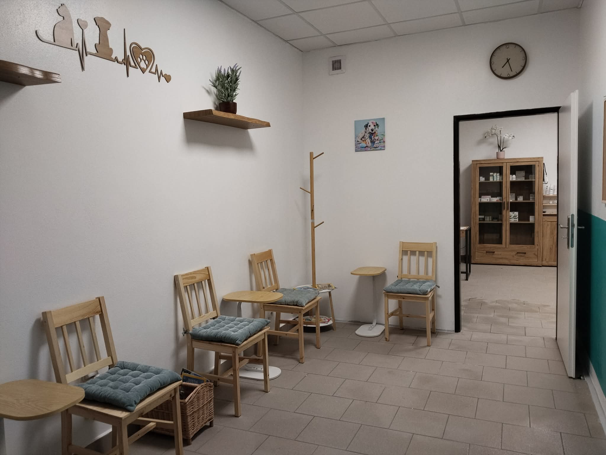 Veterina Na Vozovně foto 3