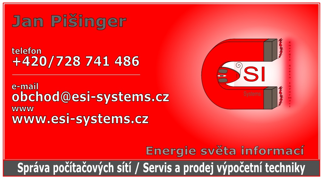 ESI SYSTEMS foto 3