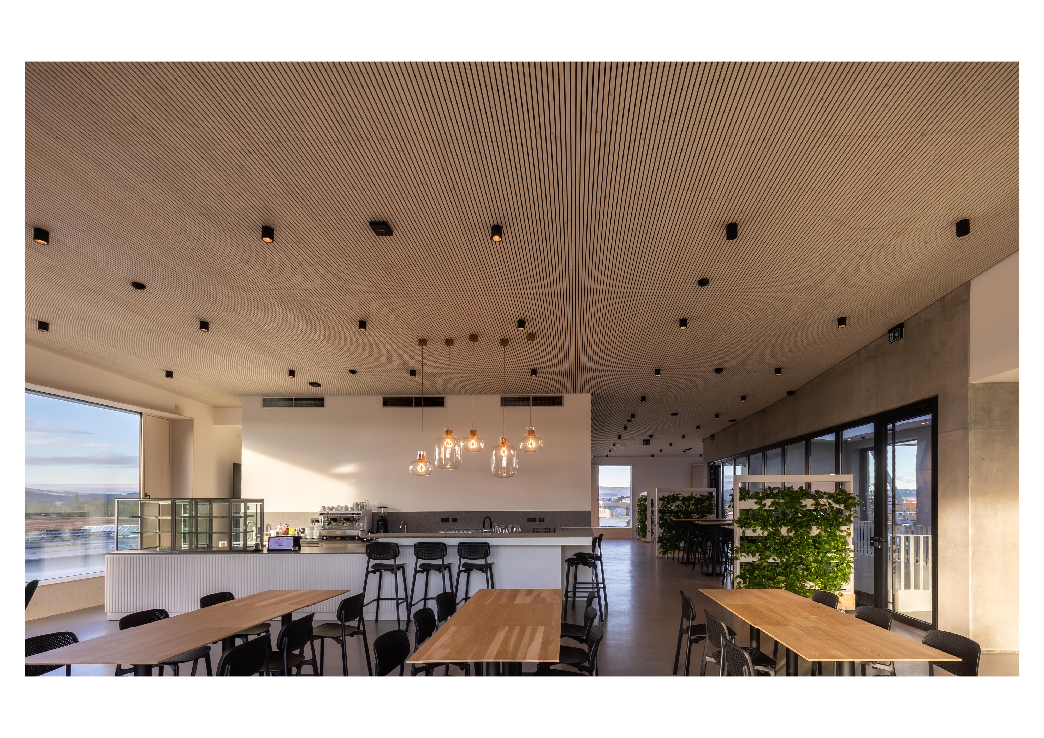 Berry Food - Bistro Budex foto 3