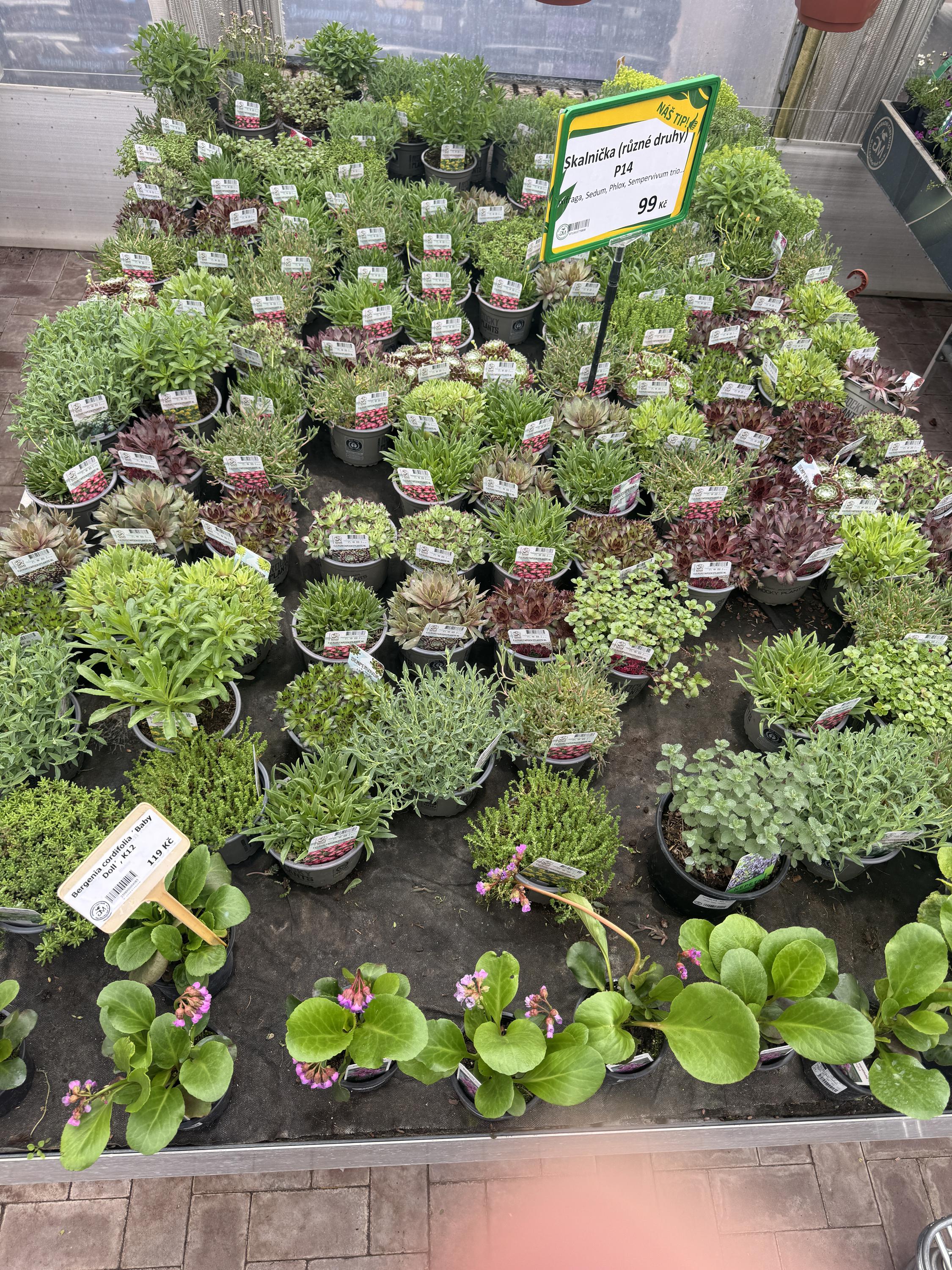 GardenMarket, s.r.o. foto 3