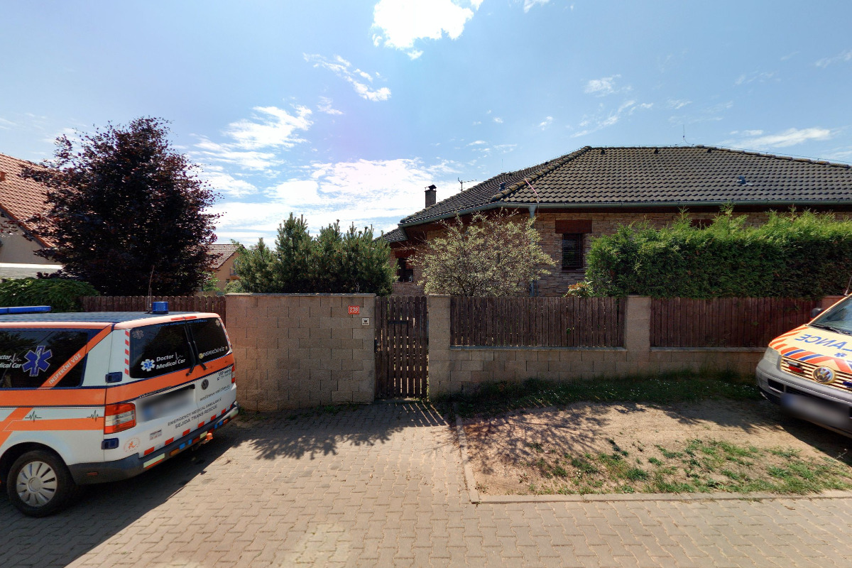 SHAR-PEI CLUB foto 1