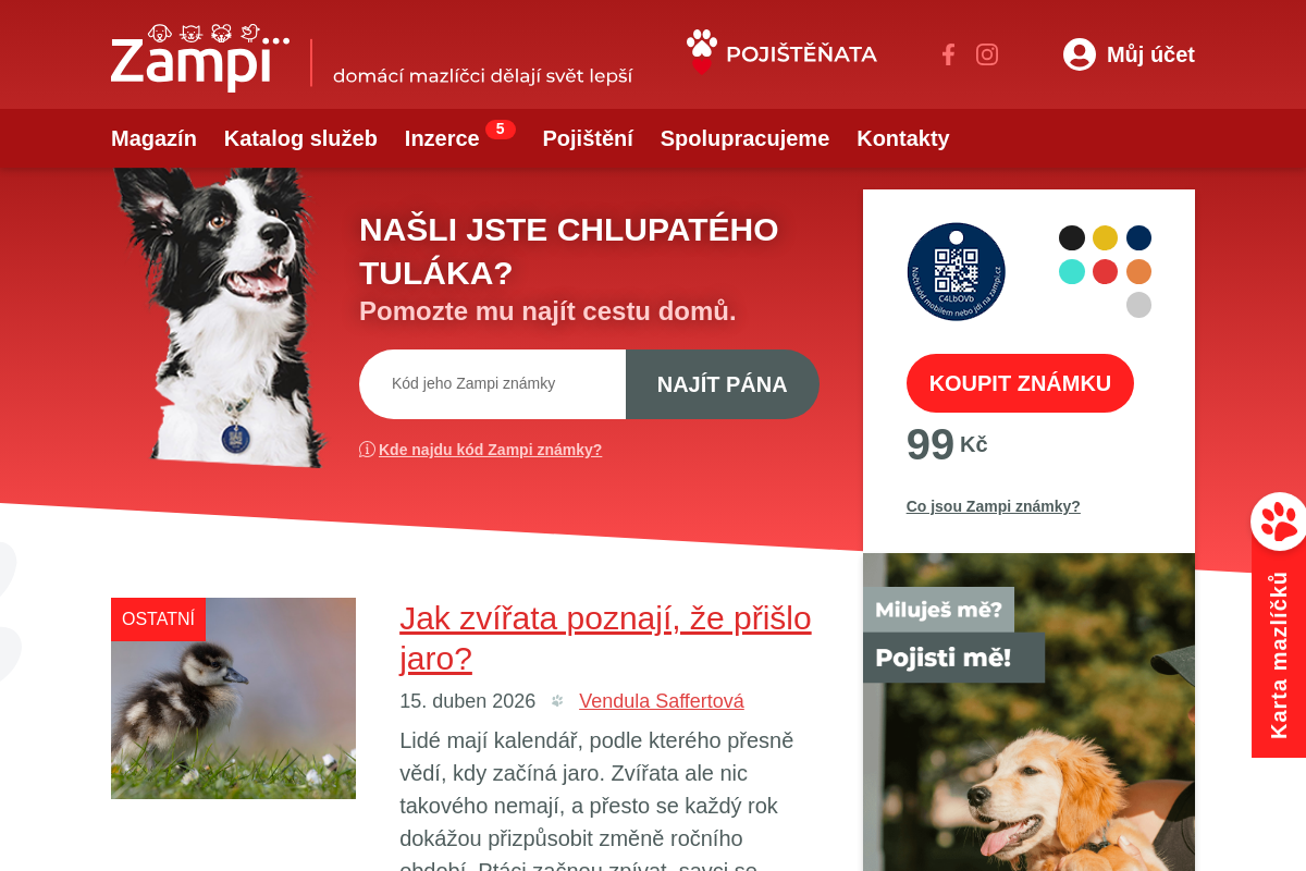 Zampi