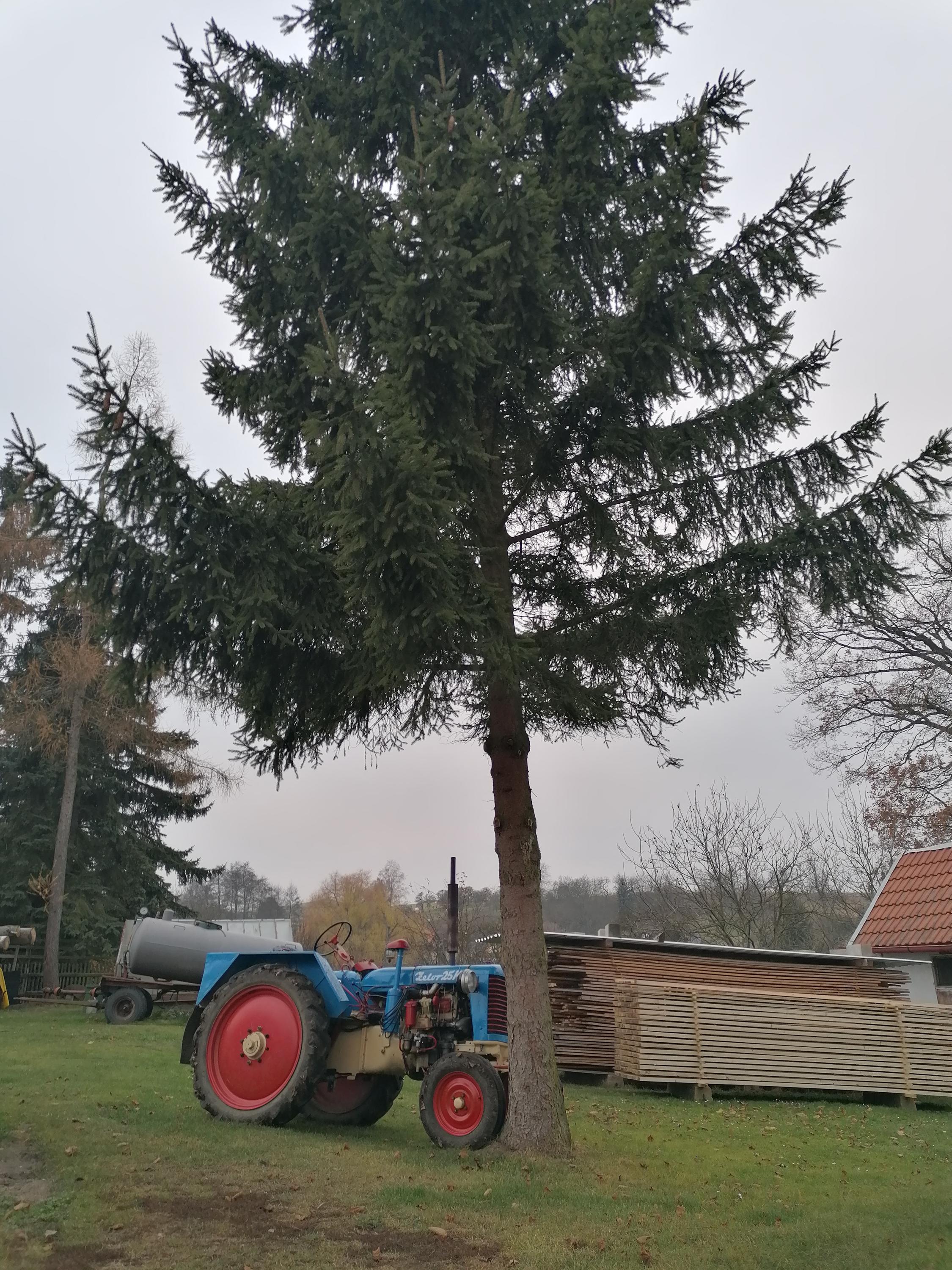 Petr Hubálek - práce všeho druhu foto 2