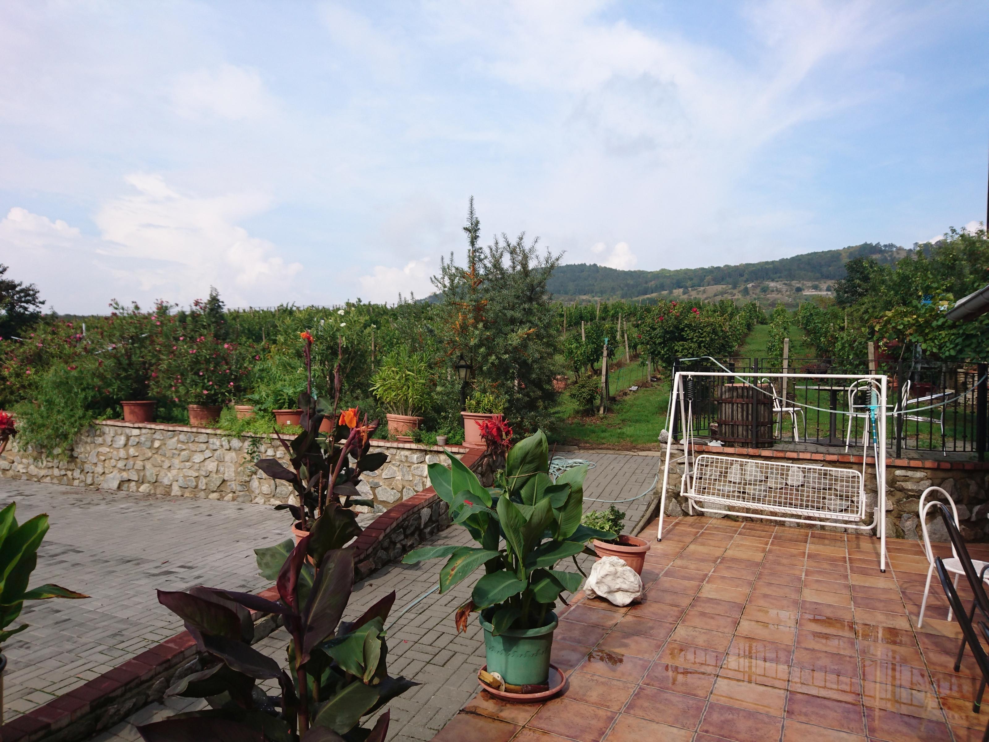 Penzion Milan Kosík foto 6