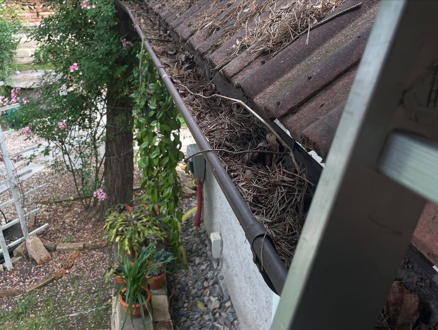 LSgardenservis foto 4