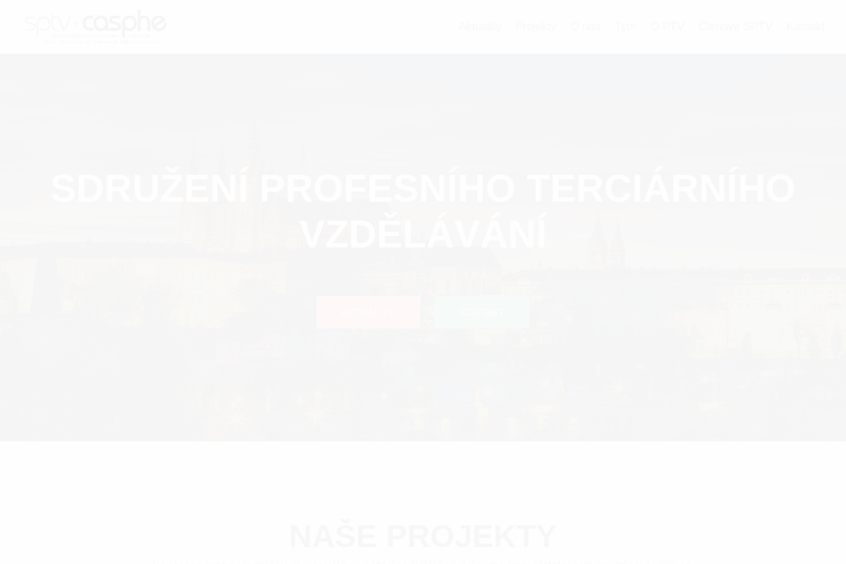 Sdružení profesního terciárního vzdělávání