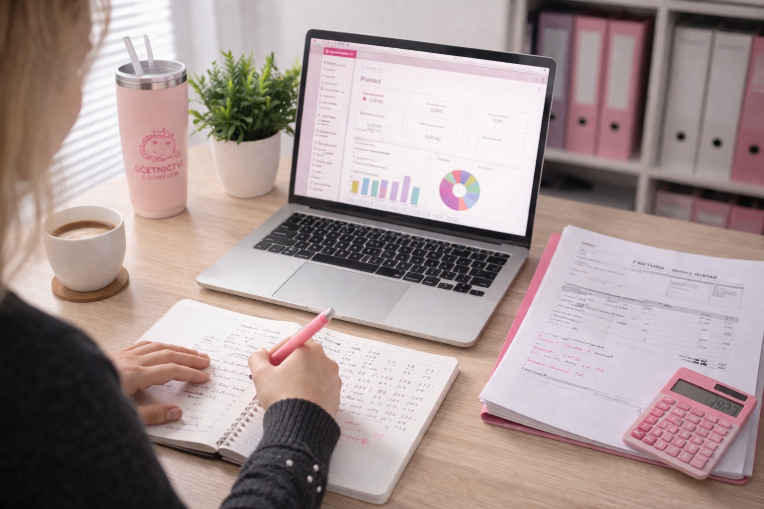 Daňková účetnictví foto 1