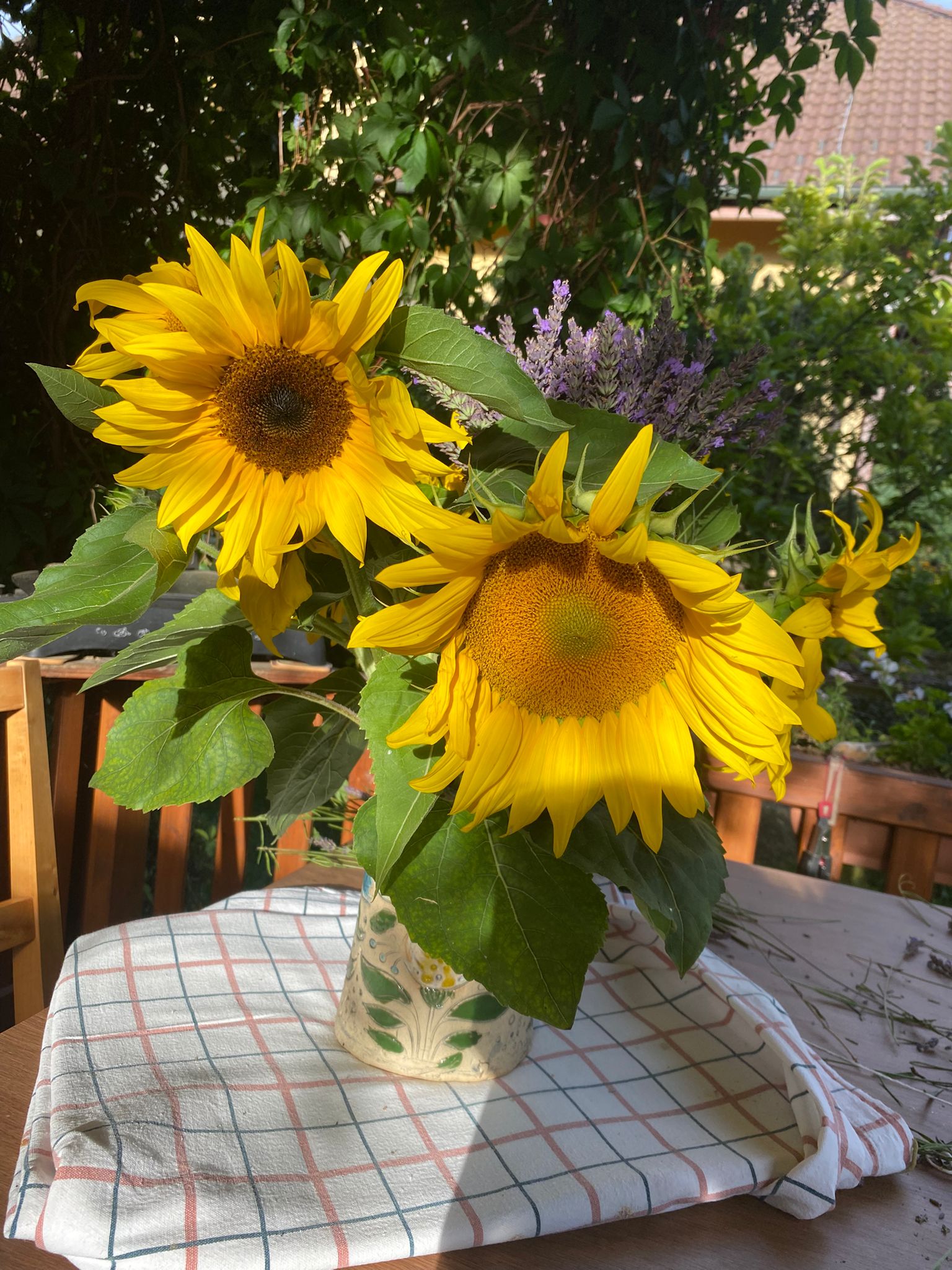 Agro Neyrinck s.r.o. foto 2