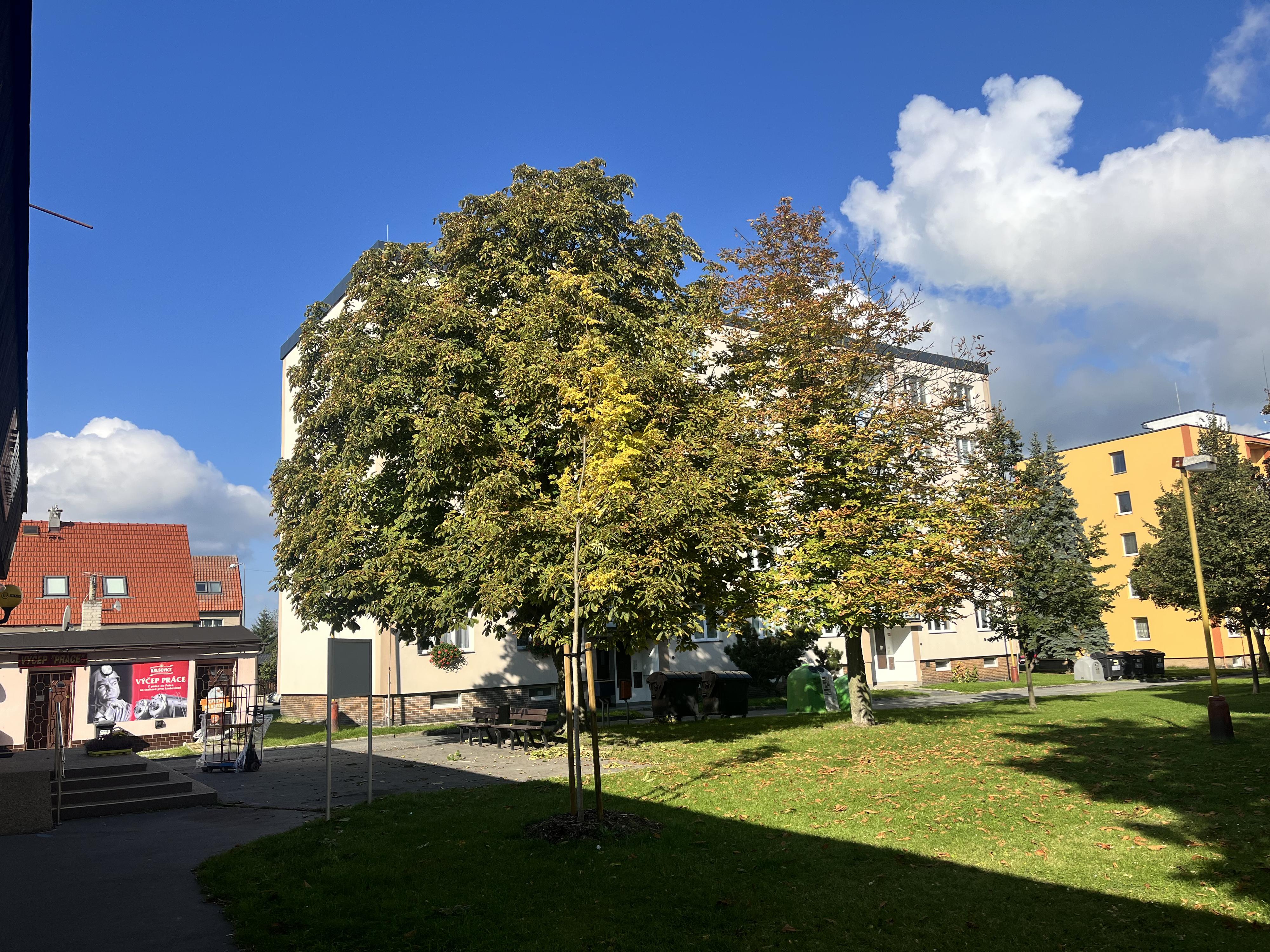 Potraviny BALA MINI foto 3