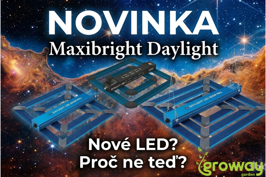 Nové LED? Proč ne teď?