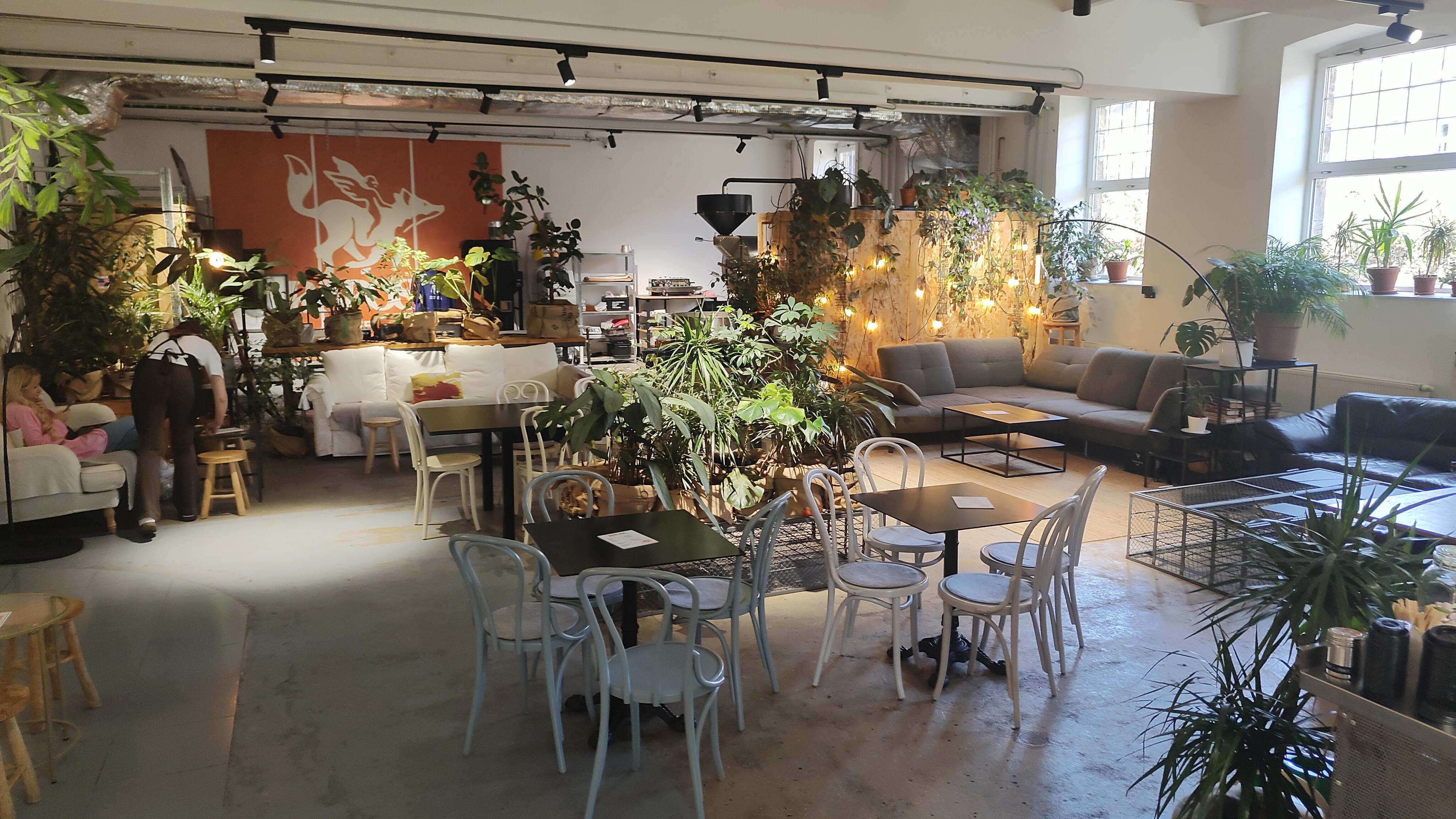 Raposa Coffee Roastery foto 2