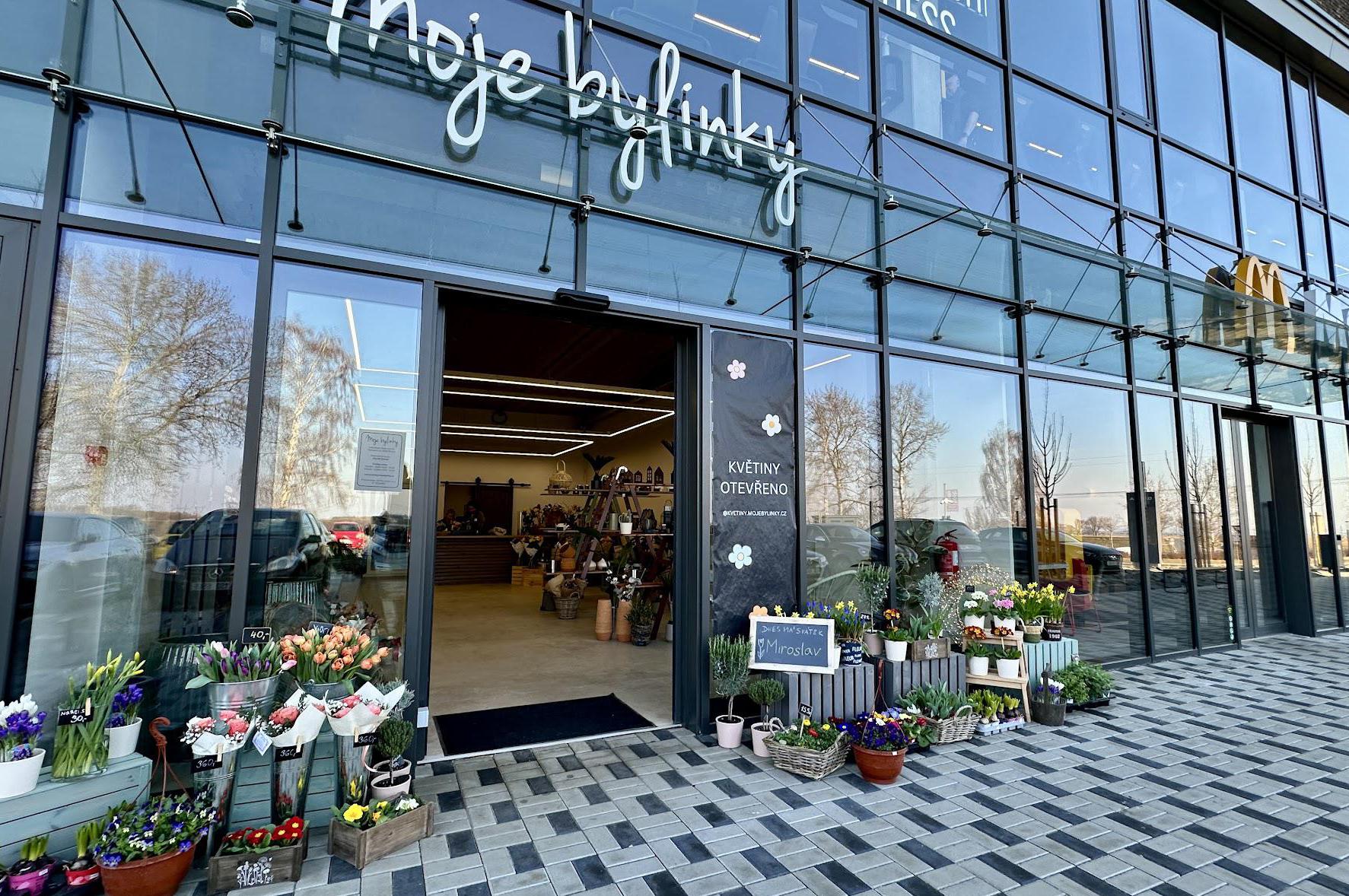 Bylinky revue Květiny Moje bylinky