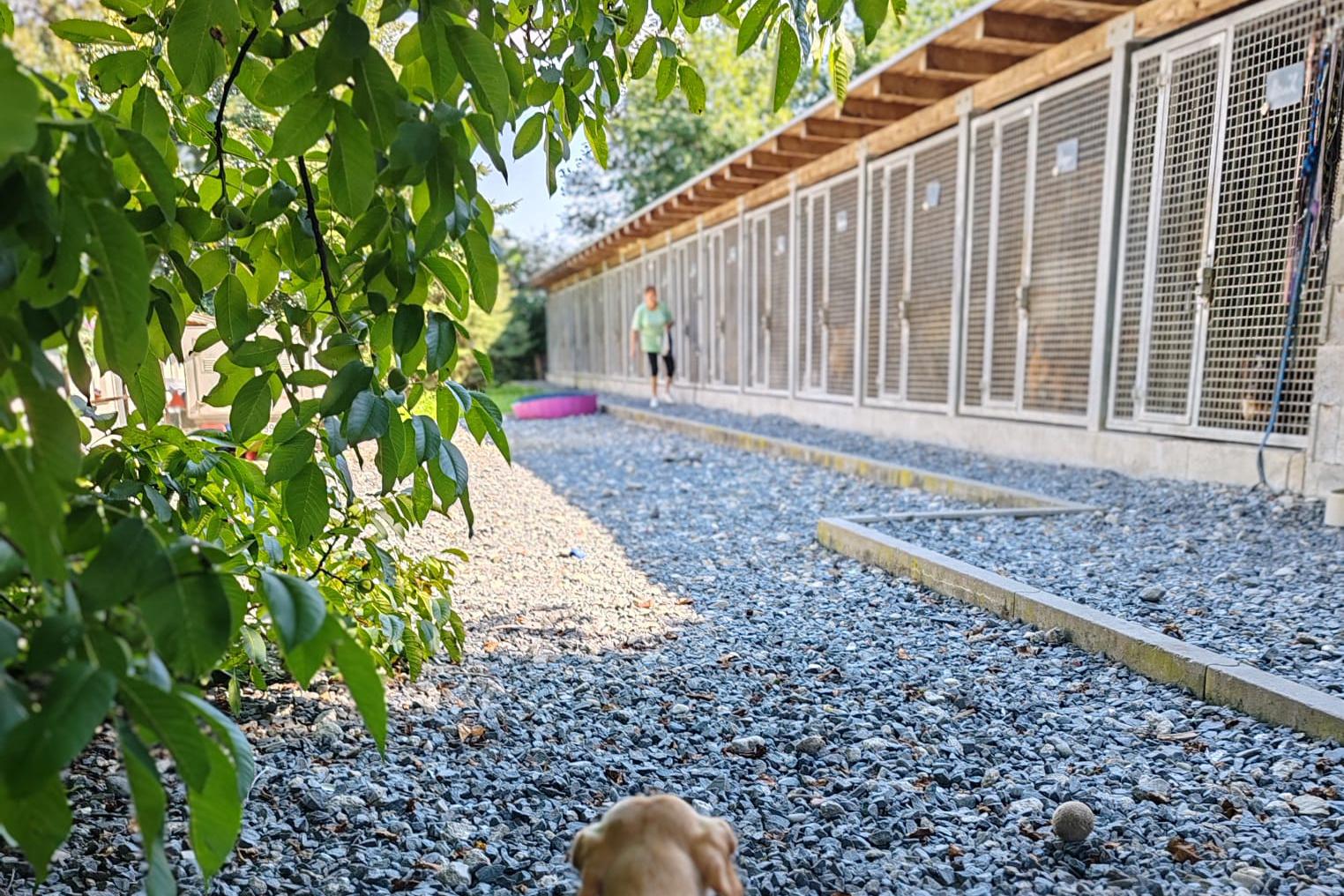 Útulek pro psy Voříšek