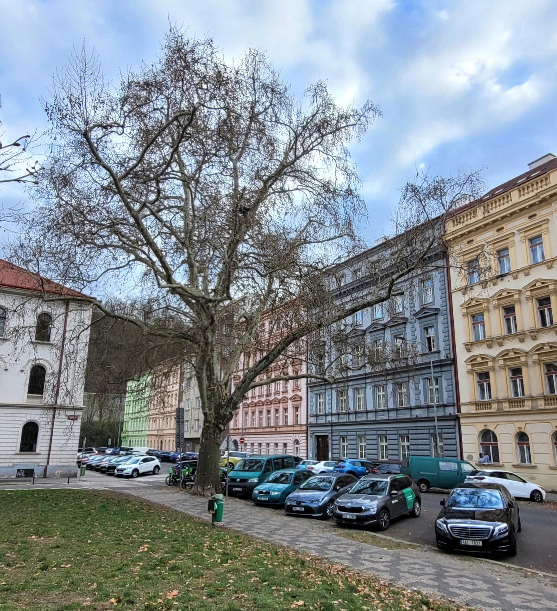 Honorární konzulát Ekvádorské republiky foto 3