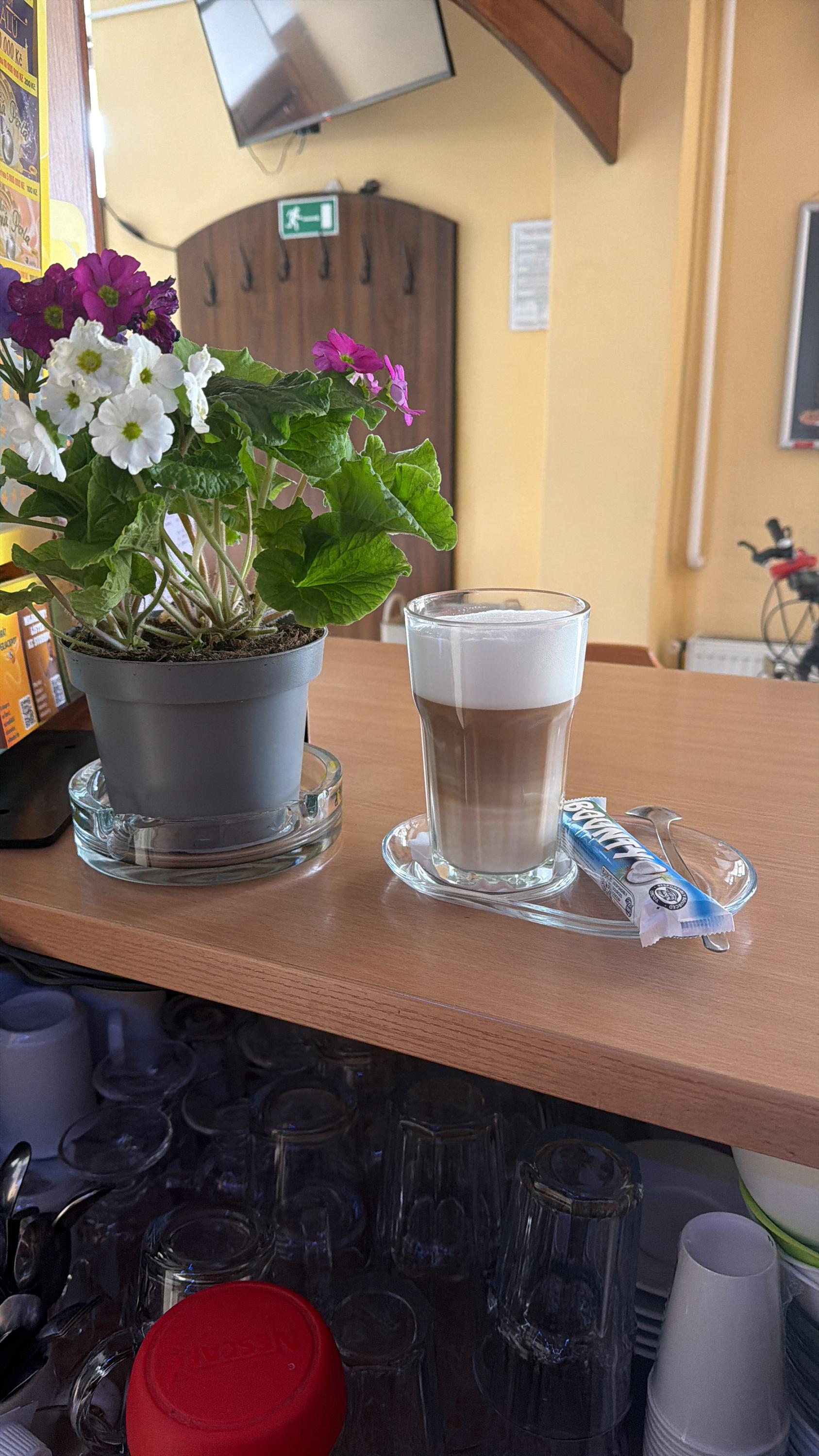 Pivní bar President foto 3