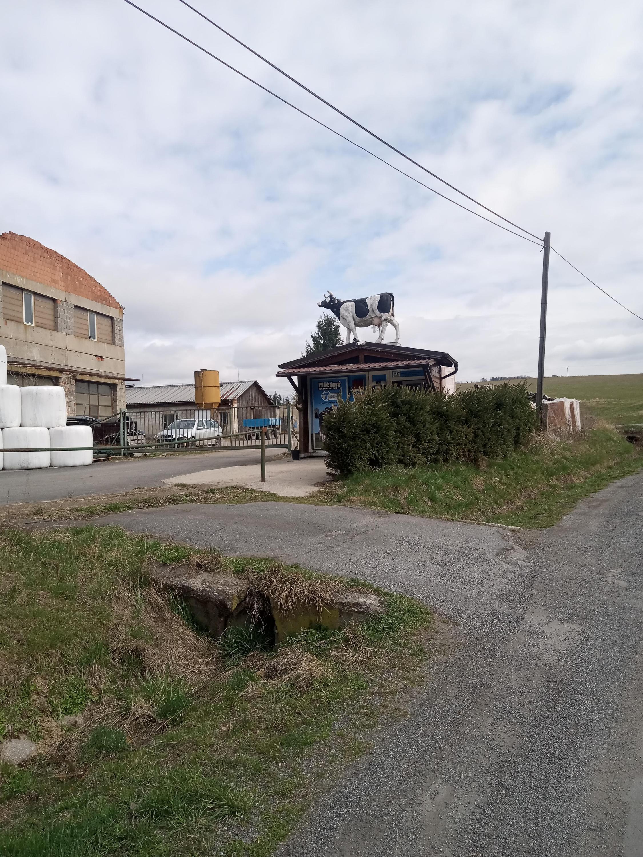 Prodej mléka František Hájek foto 2