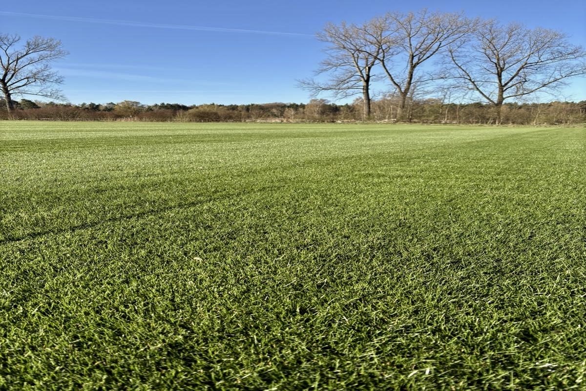 Travní koberce Lysá