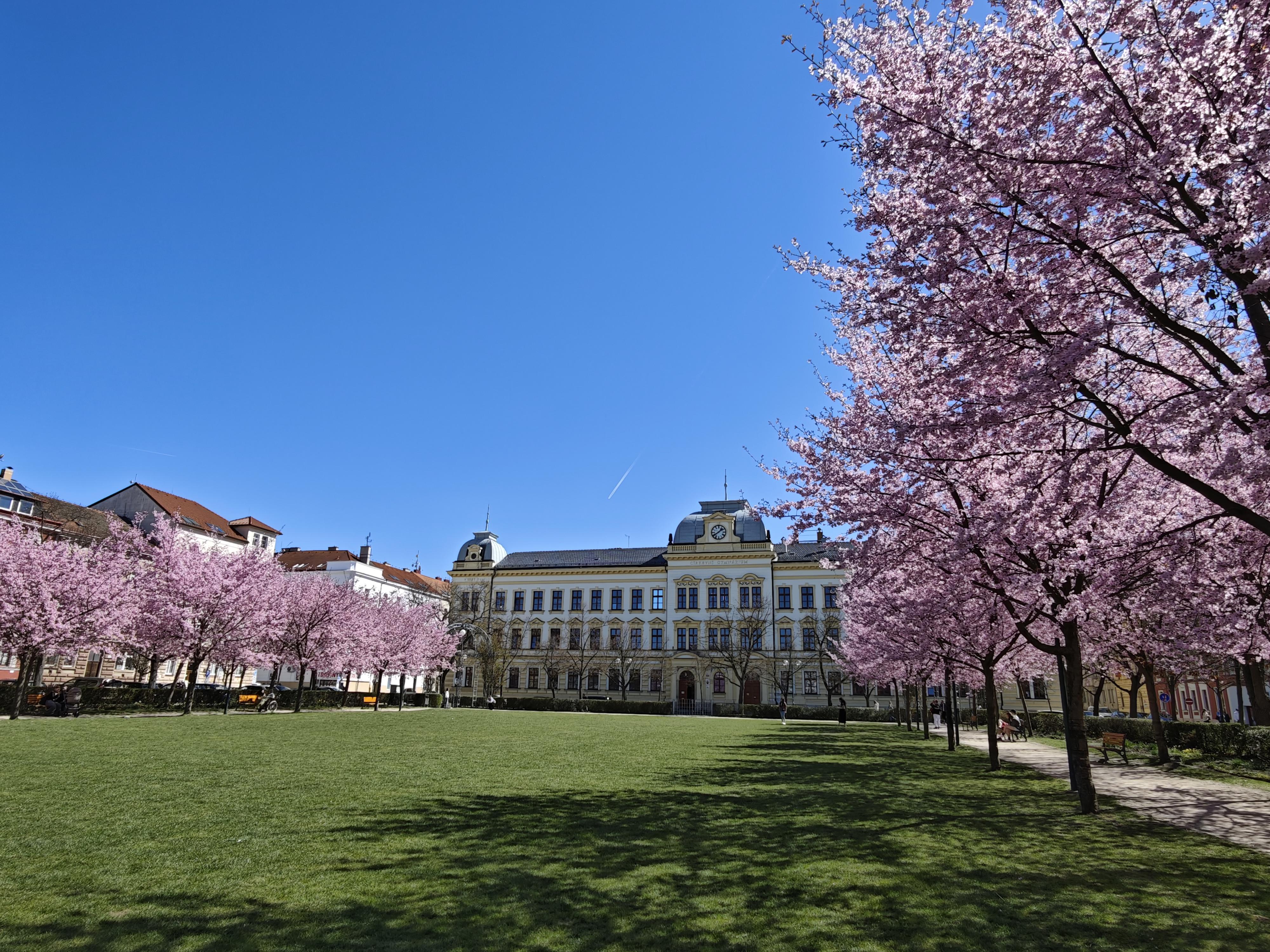 Církevní gymnázium Plzeň foto 6