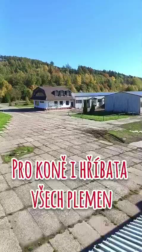 Chov koní Dvorka foto 2 (náhled videa)