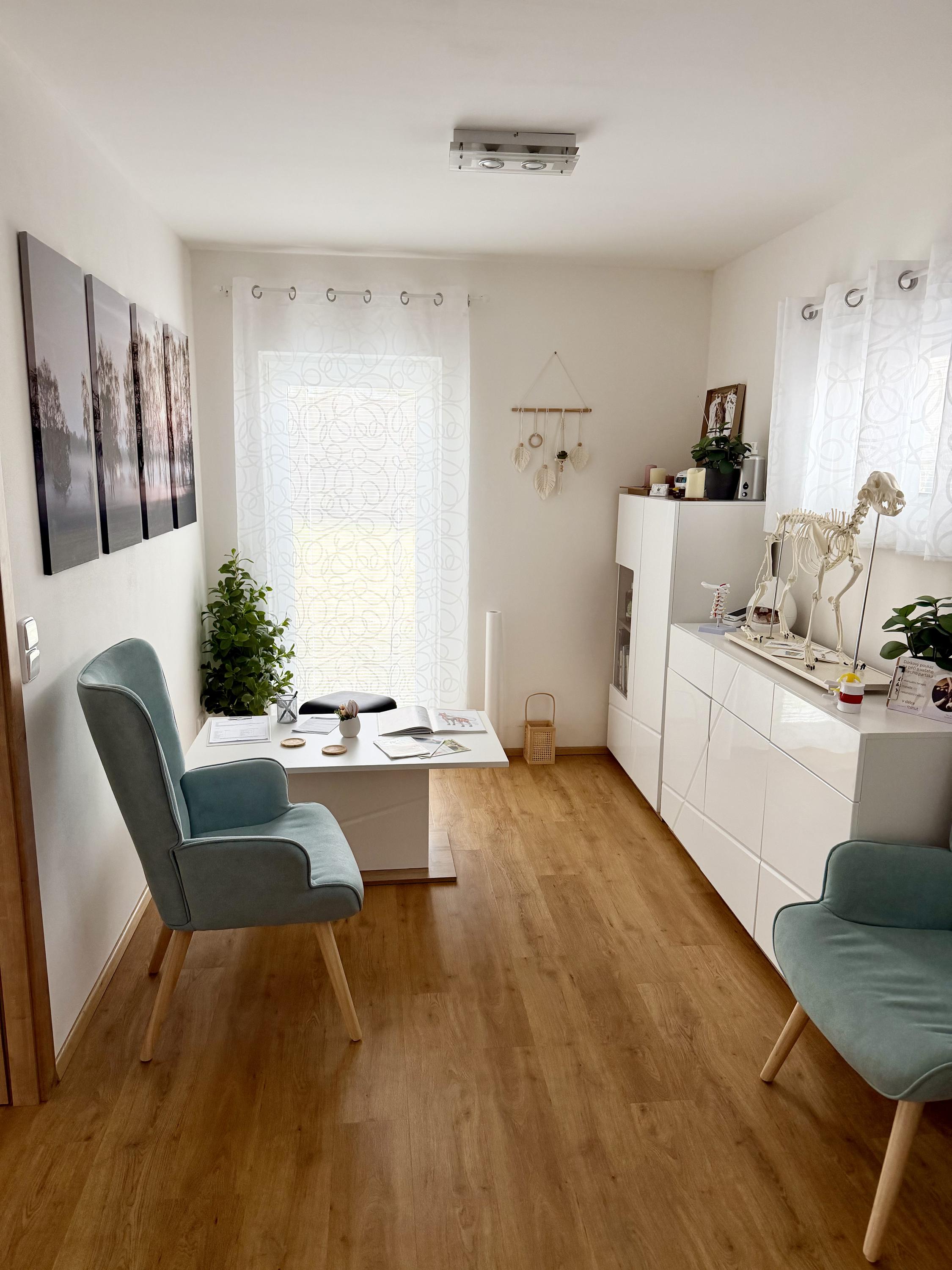 TAVIRA Studio manuální terapie pro malá zvířata foto 4