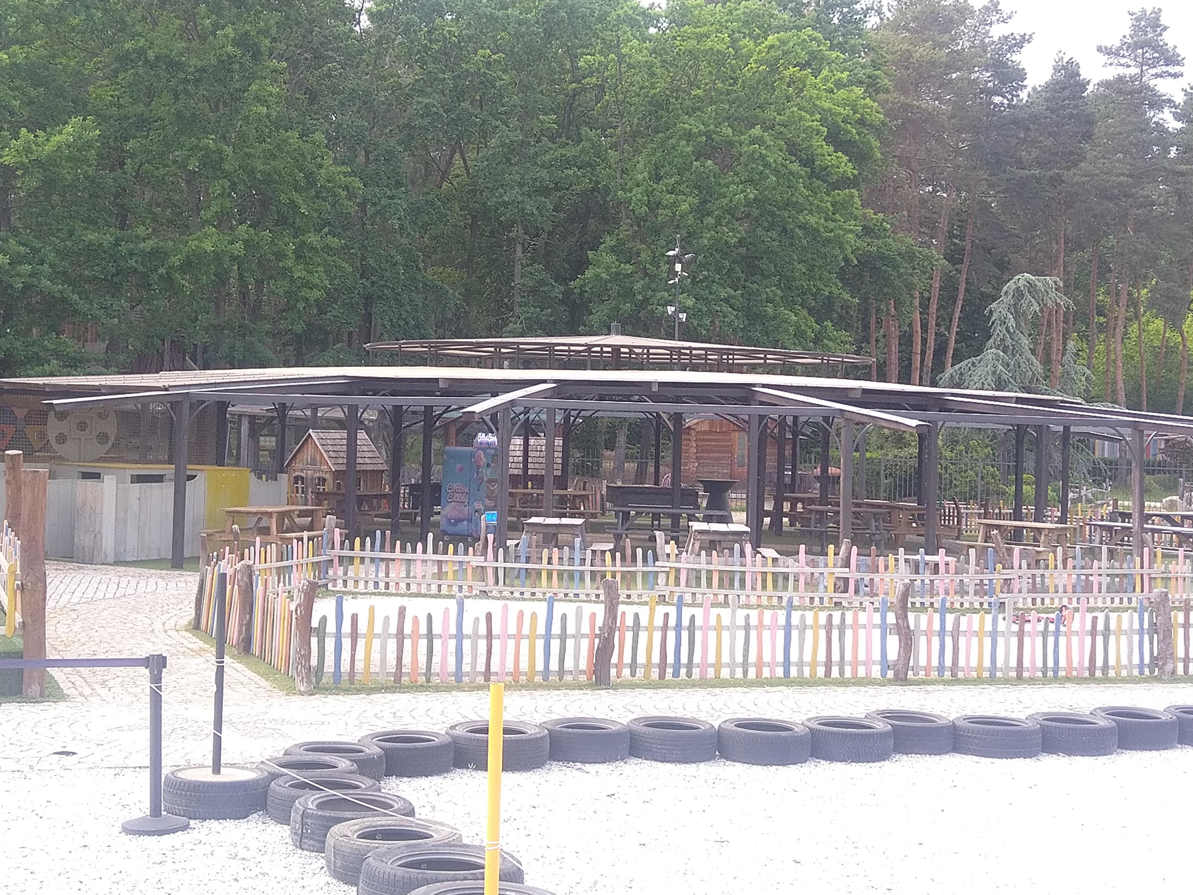 Kuře a koleno