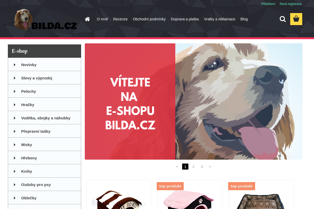 Bilda.cz